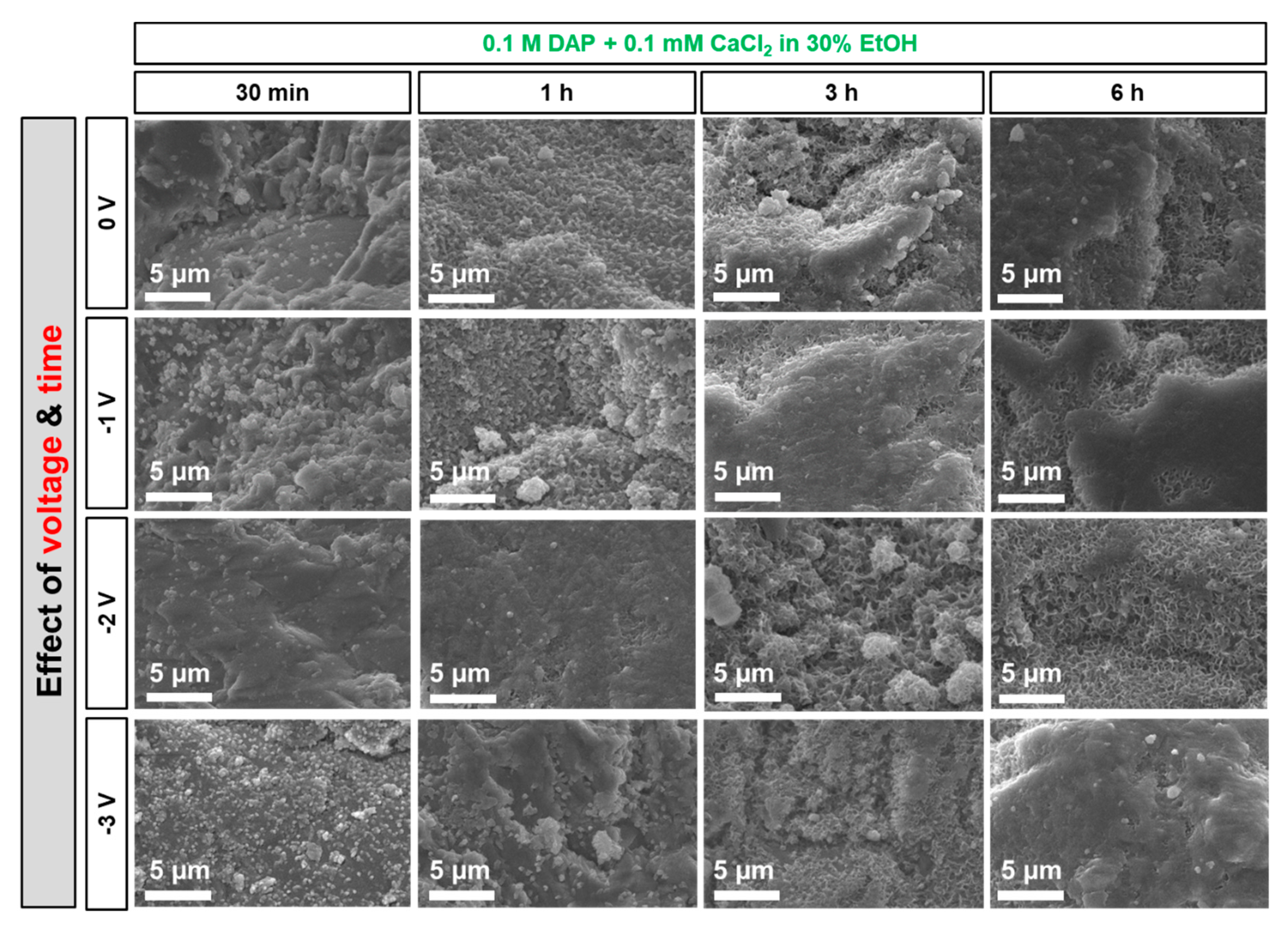 Coatings 09 00207 g009 Coatings 09 00207 g009