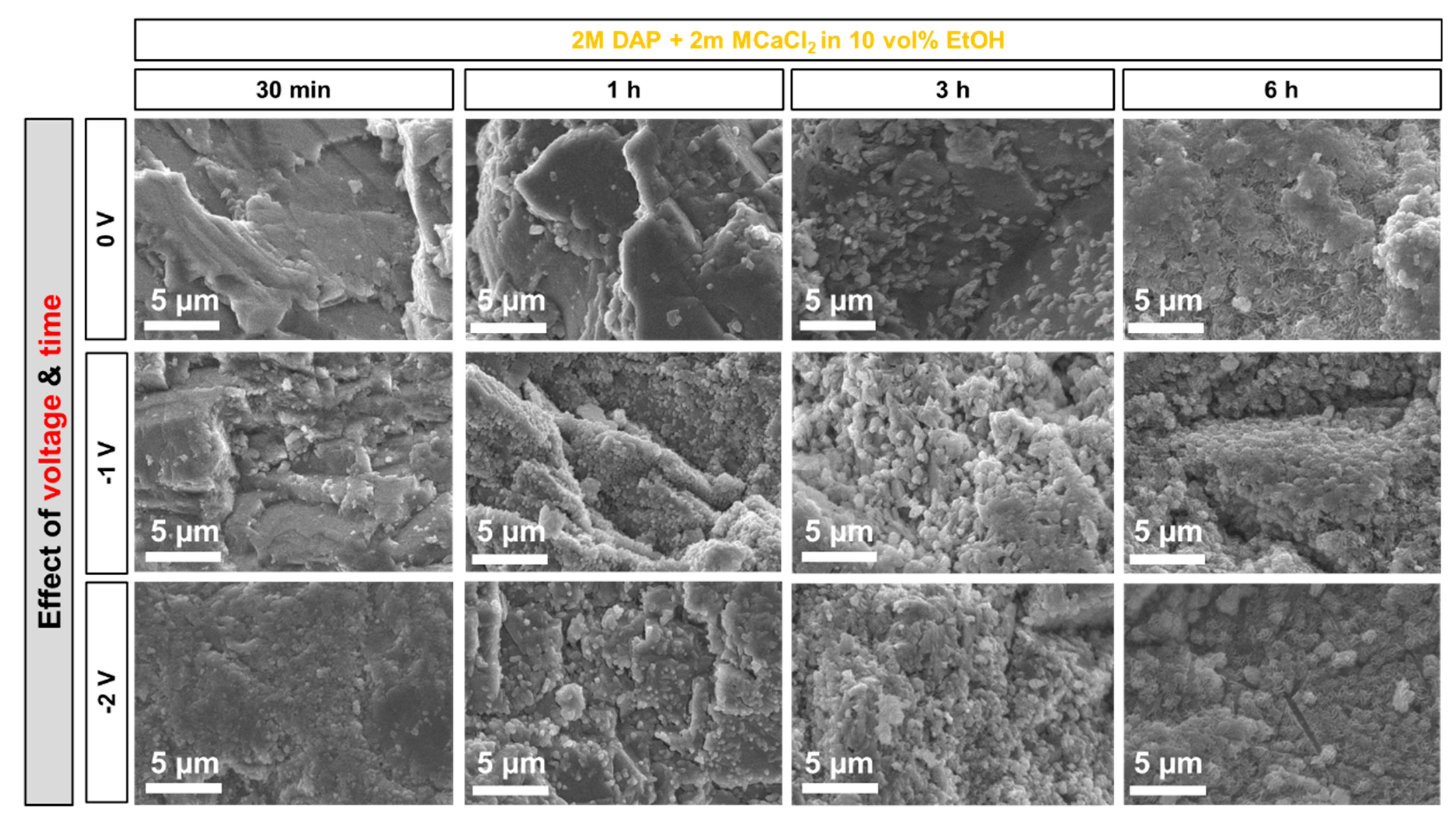 Coatings 09 00207 g010 Coatings 09 00207 g010