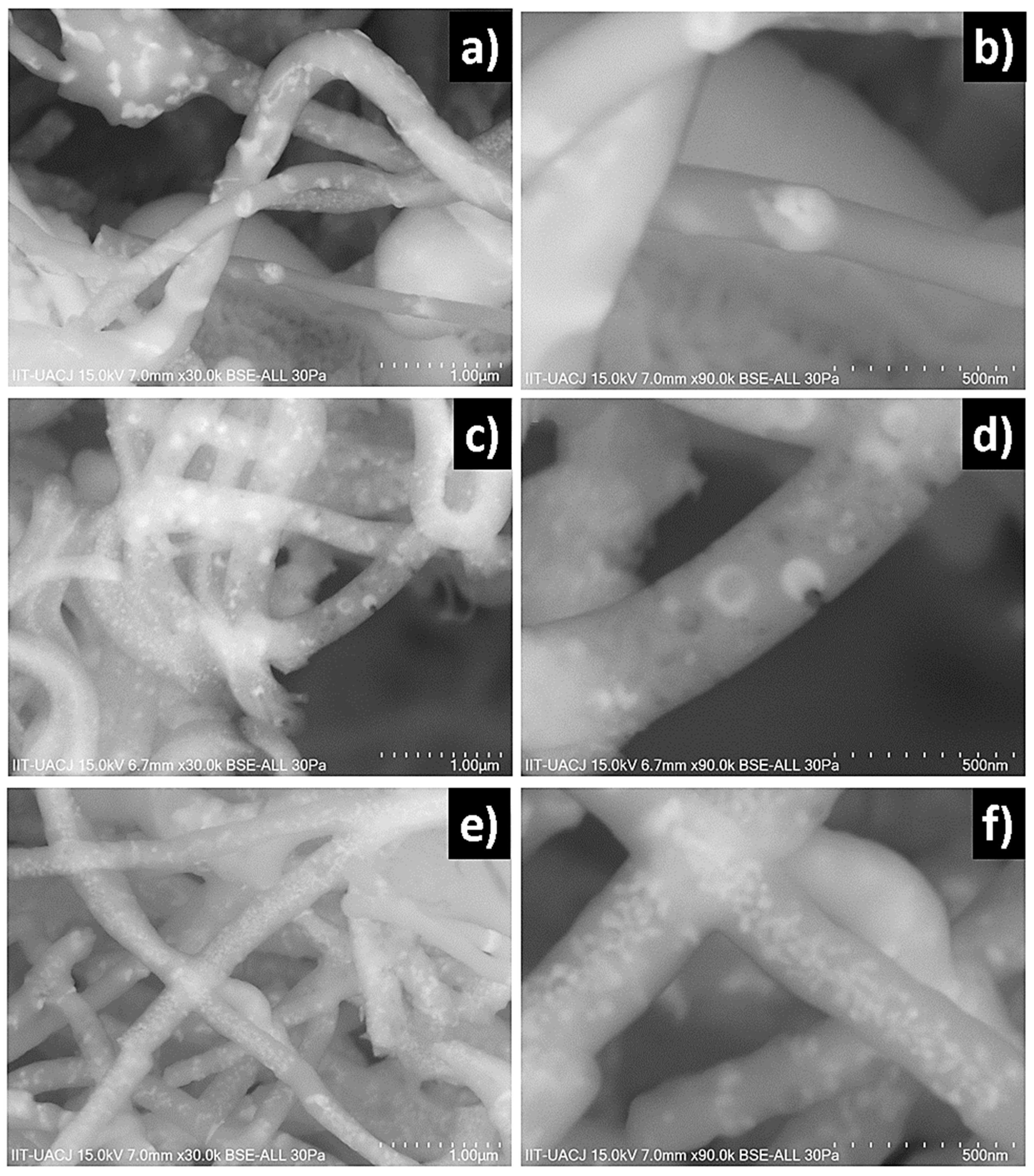 Coatings 09 00212 g005 550