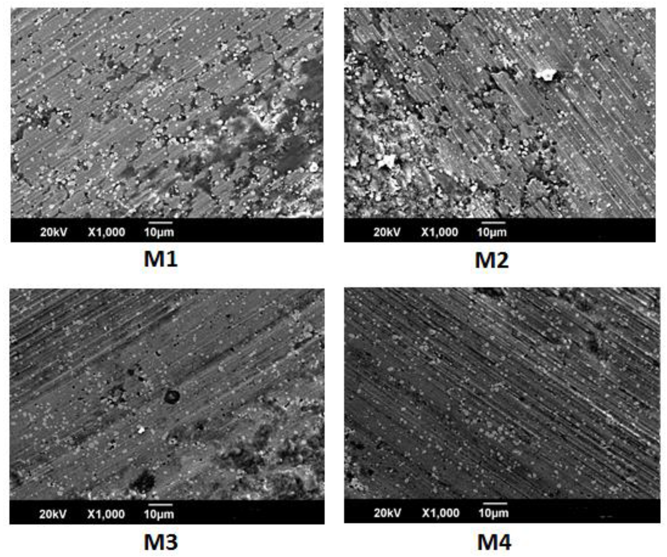 Coatings 09 00215 g008