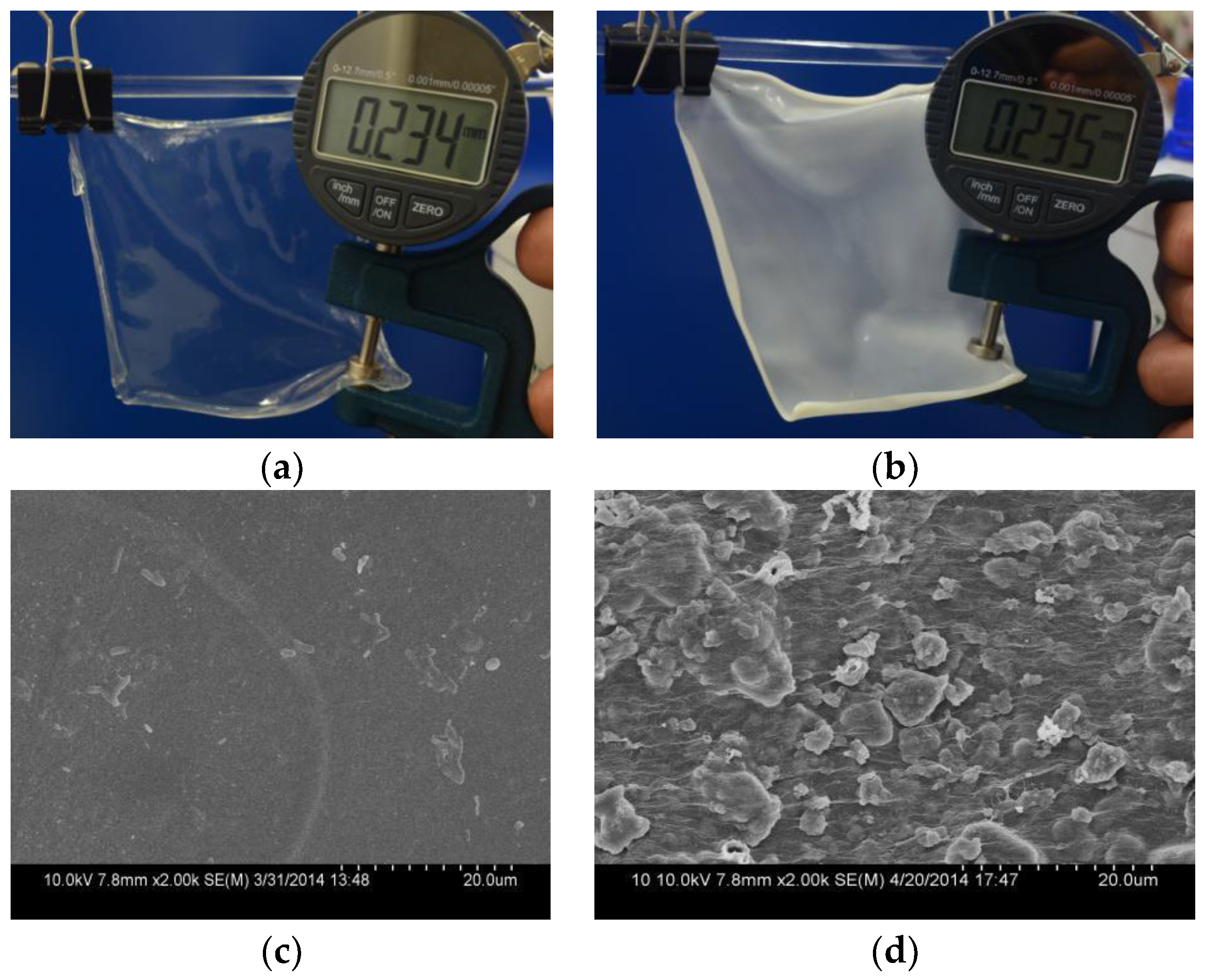 Coatings 09 00218 g002