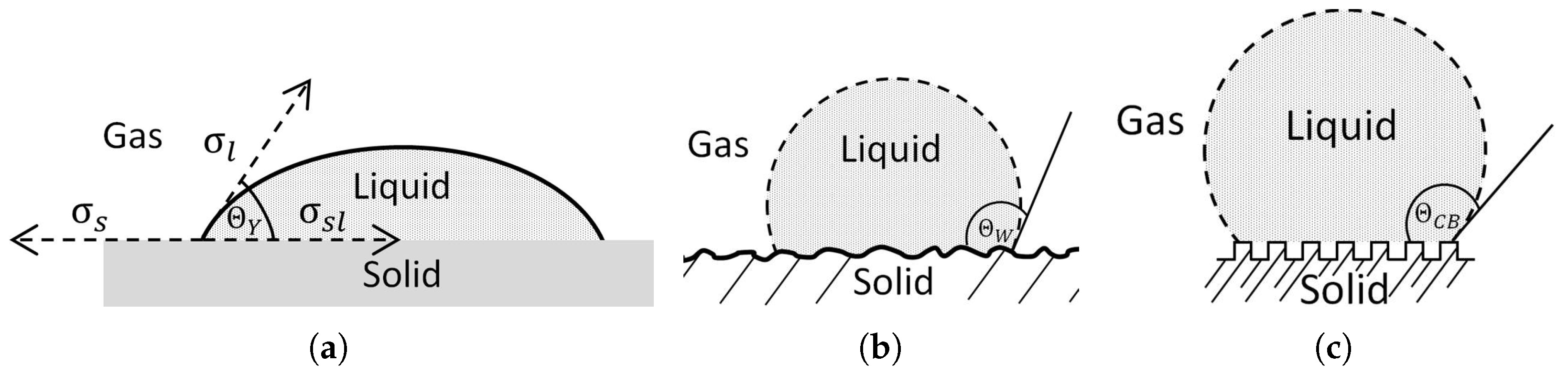 Coatings 09 00219 g001