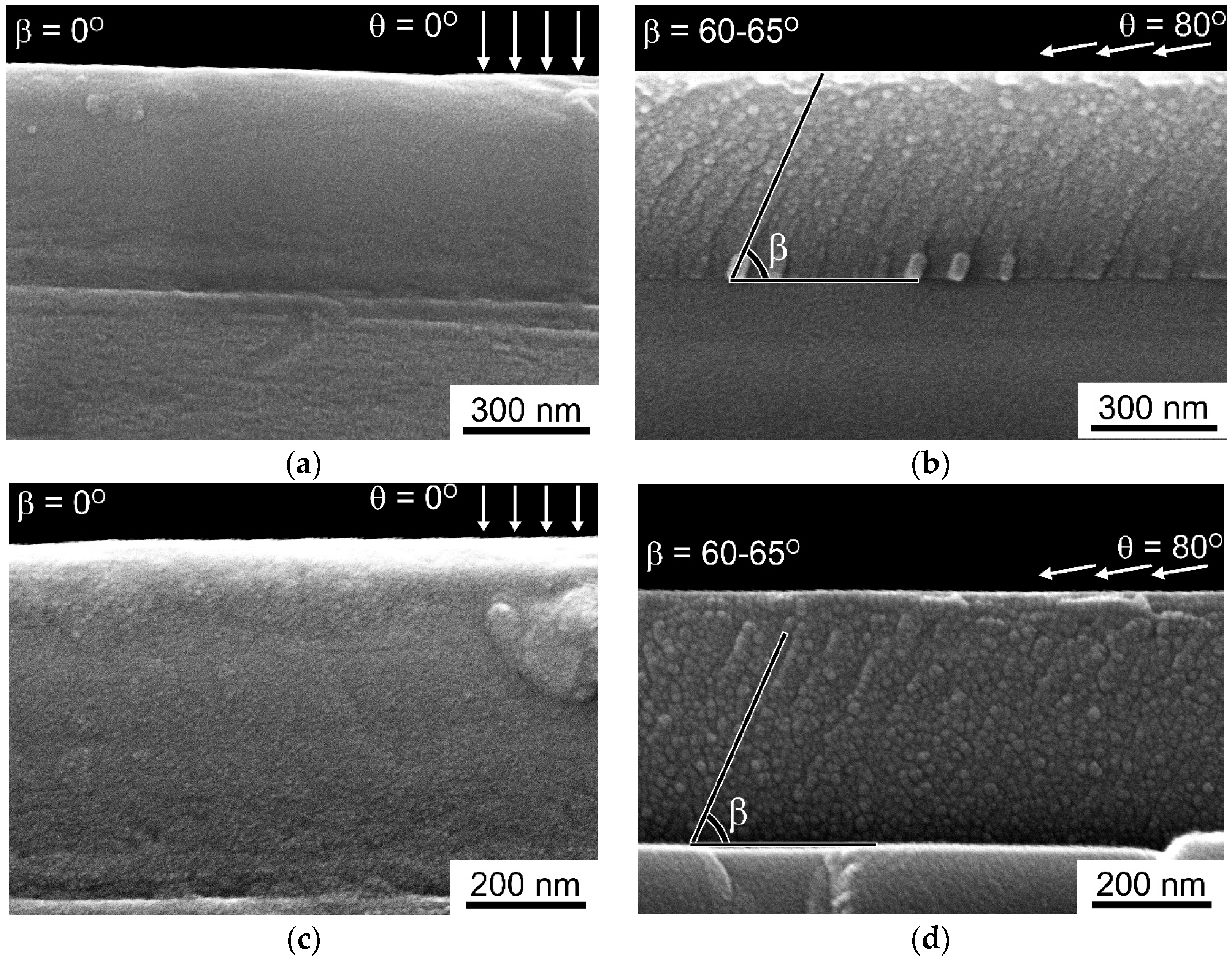 Coatings 09 00220 g006 Coatings 09 00220 g006