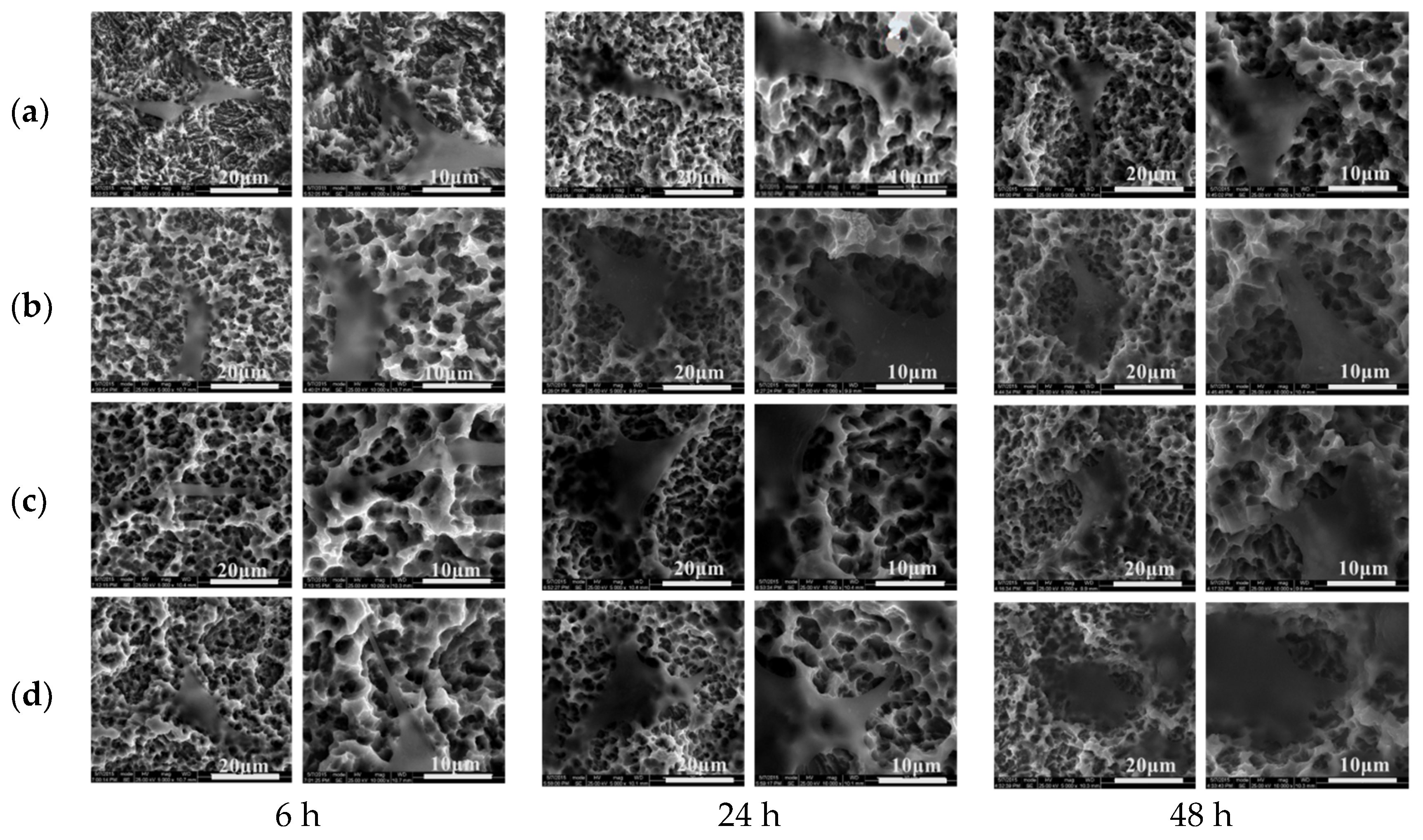 Coatings 09 00222 g008