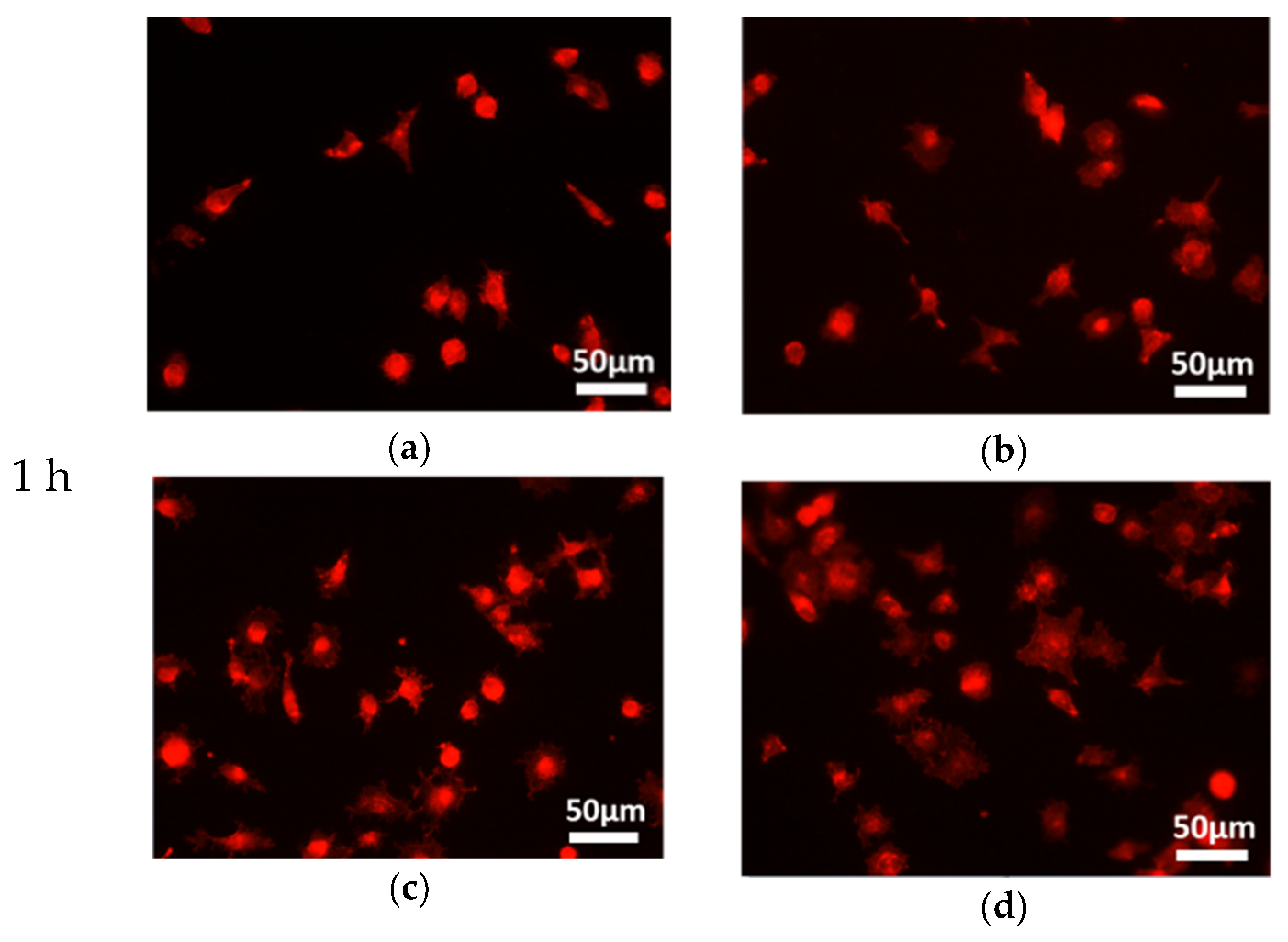 Coatings 09 00222 g010a