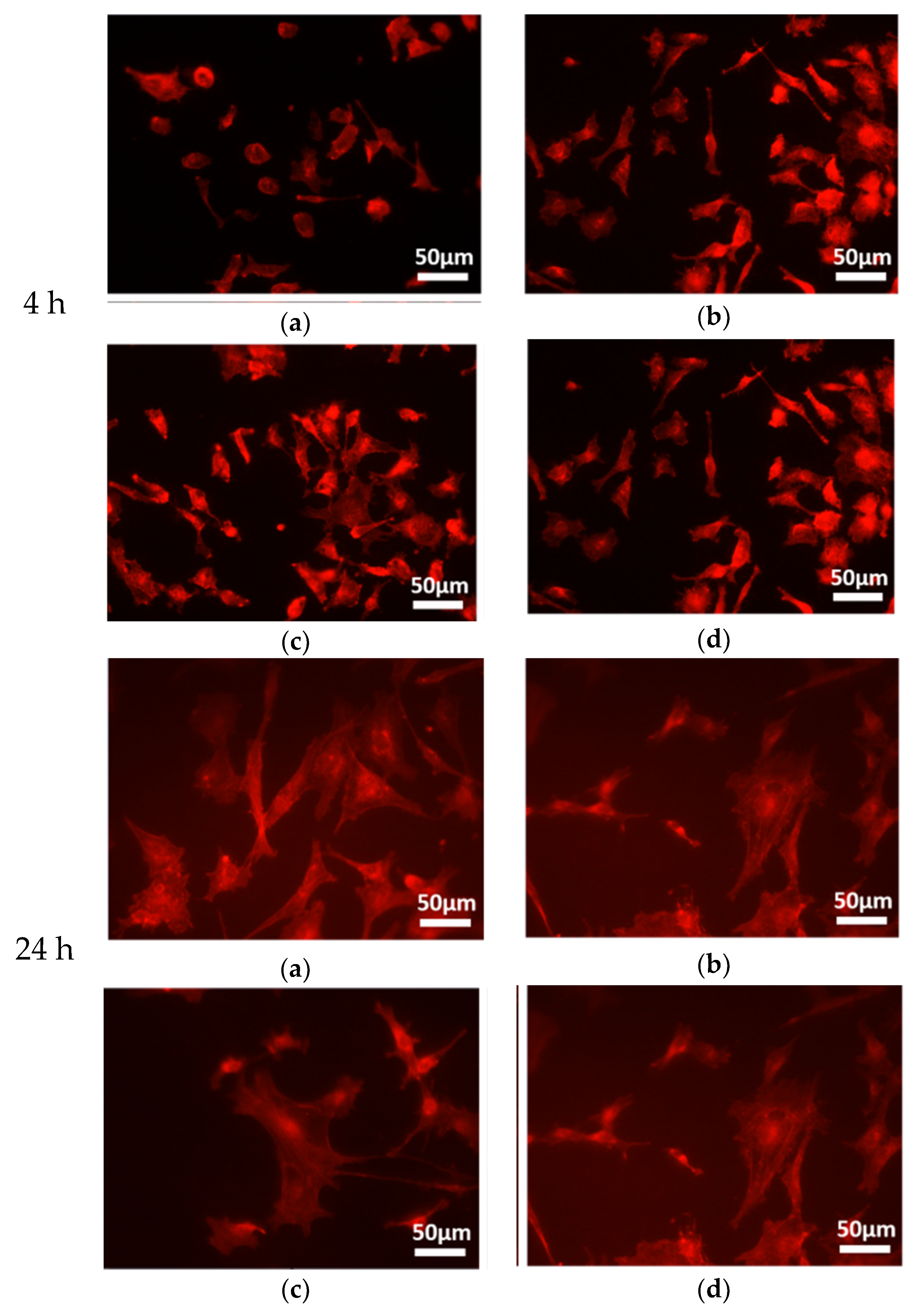 Coatings 09 00222 g010b