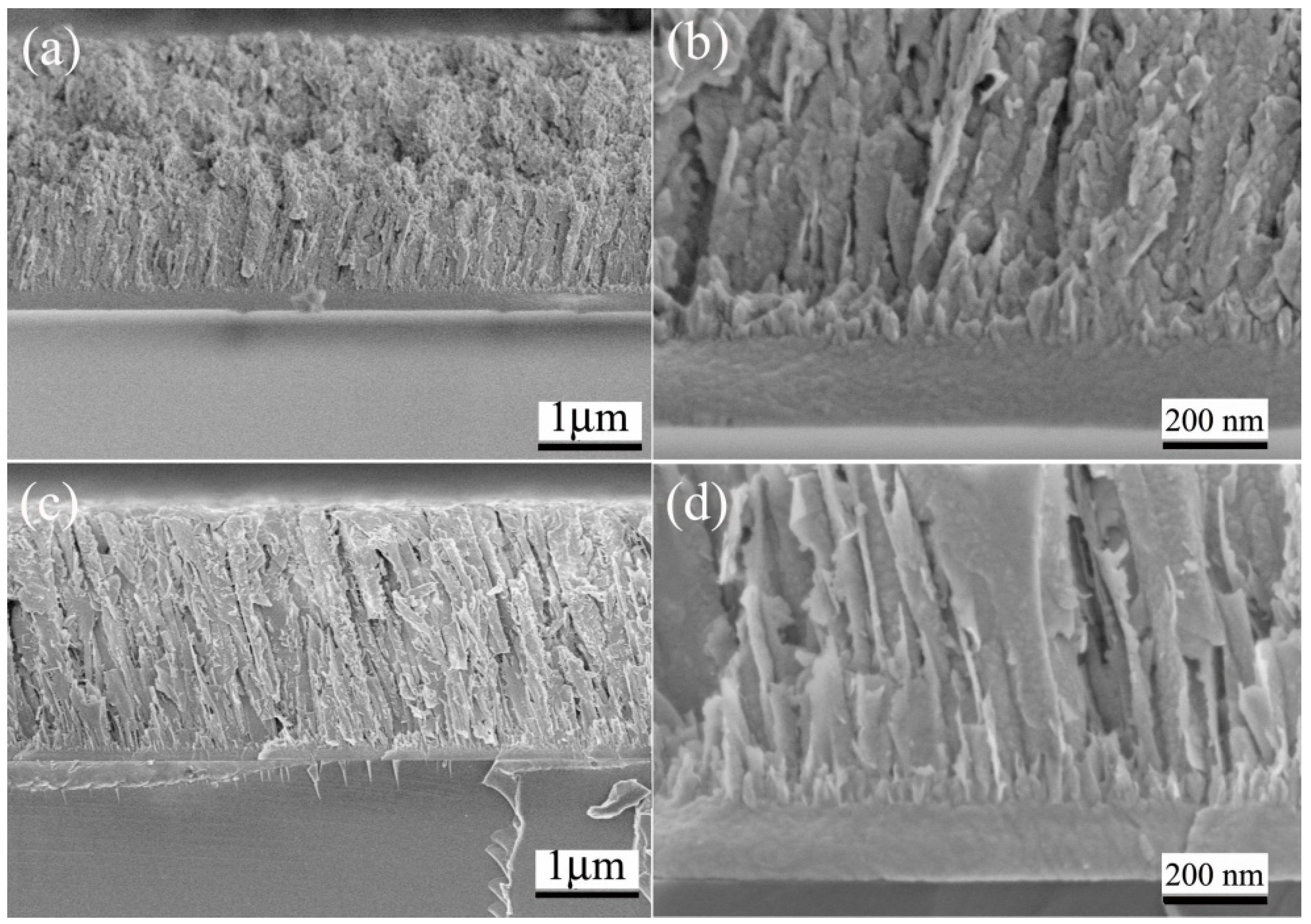 Coatings 09 00227 g002 Coatings 09 00227 g002