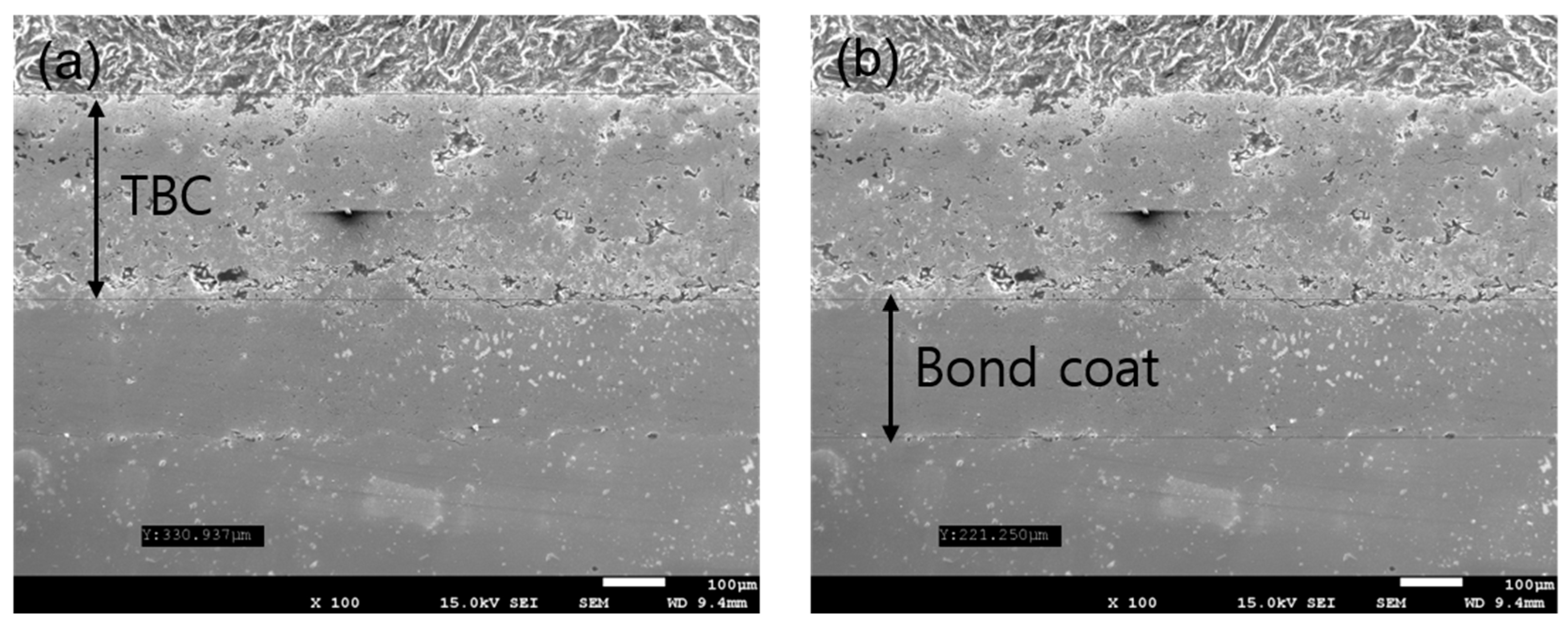 Coatings 09 00229 g002