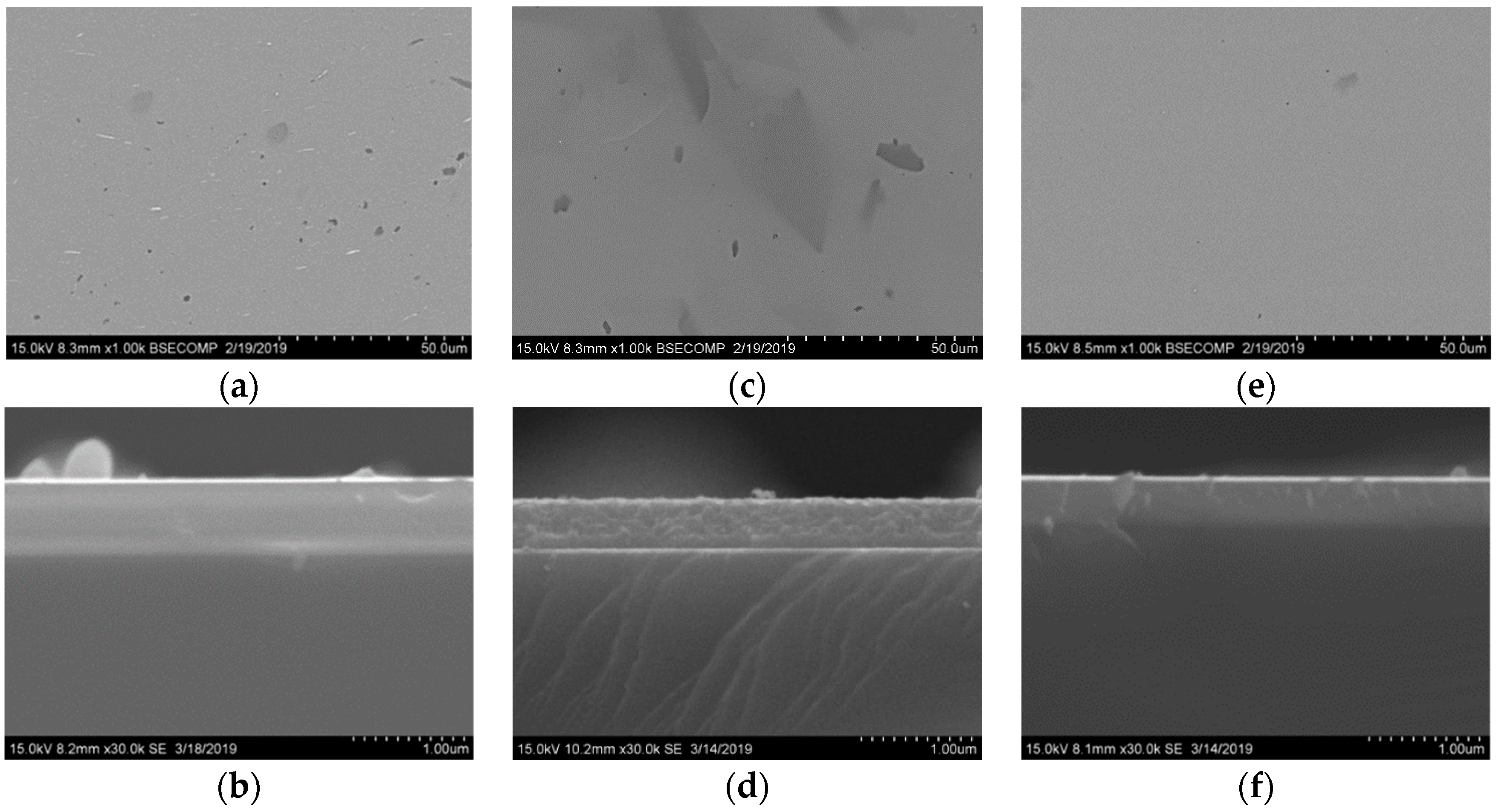 Coatings 09 00230 g002