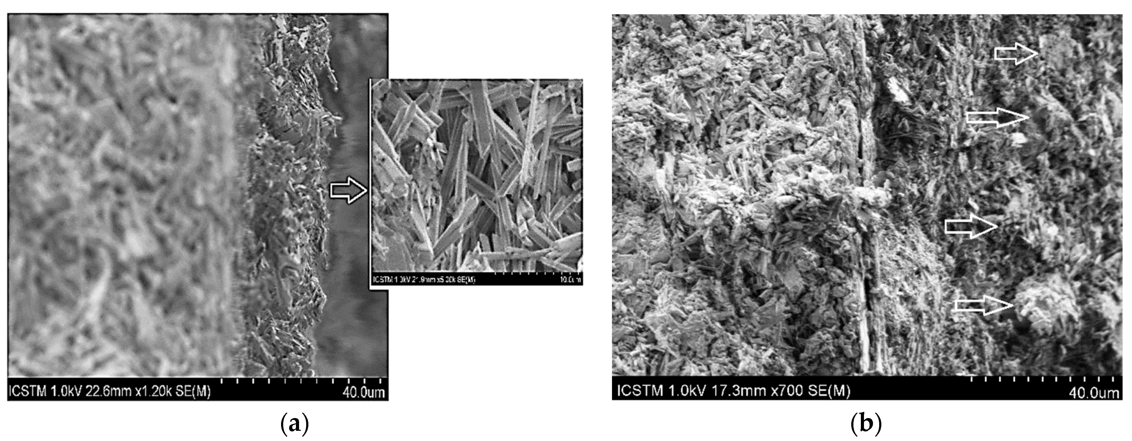 Coatings 09 00231 g008