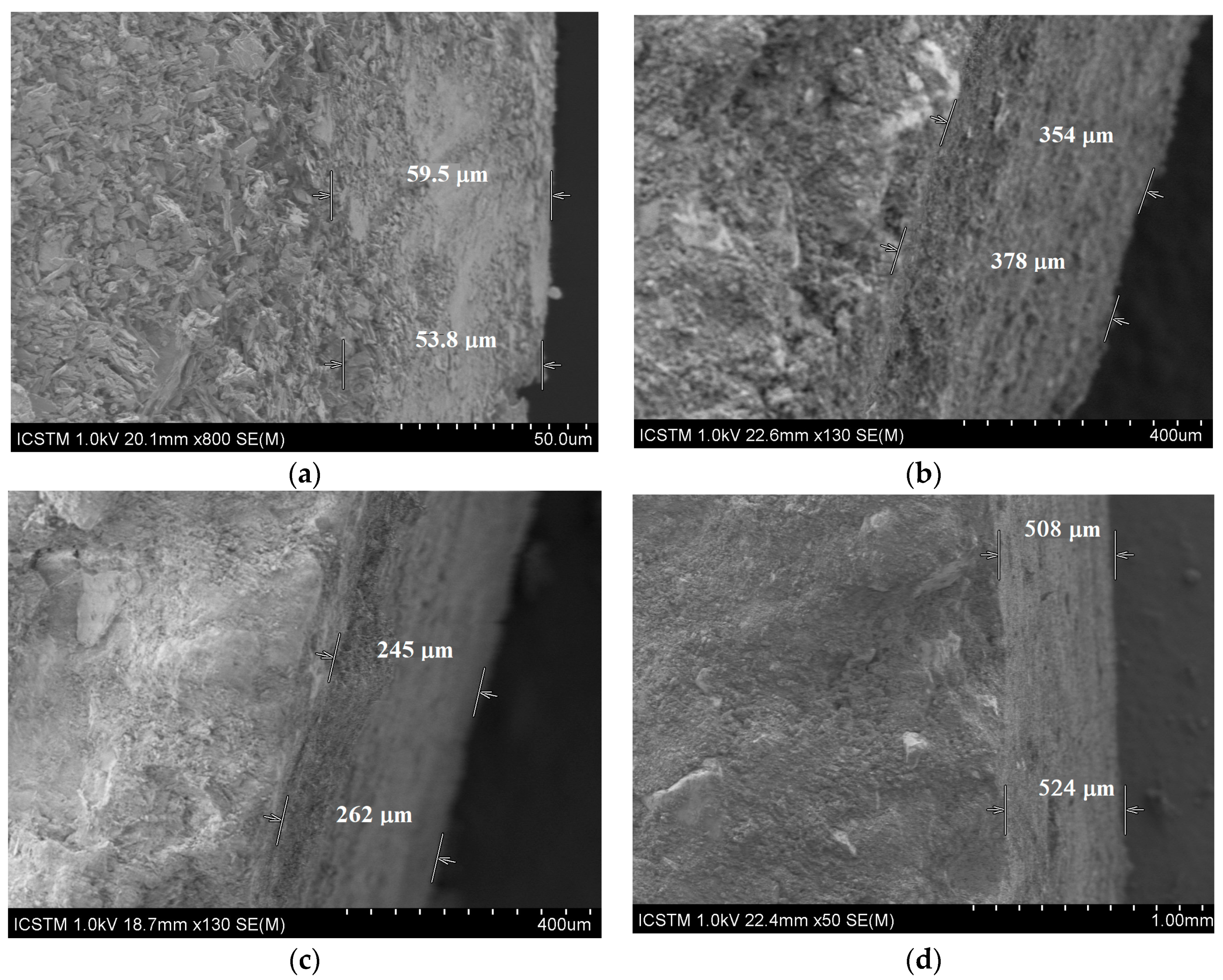 Coatings 09 00231 g010