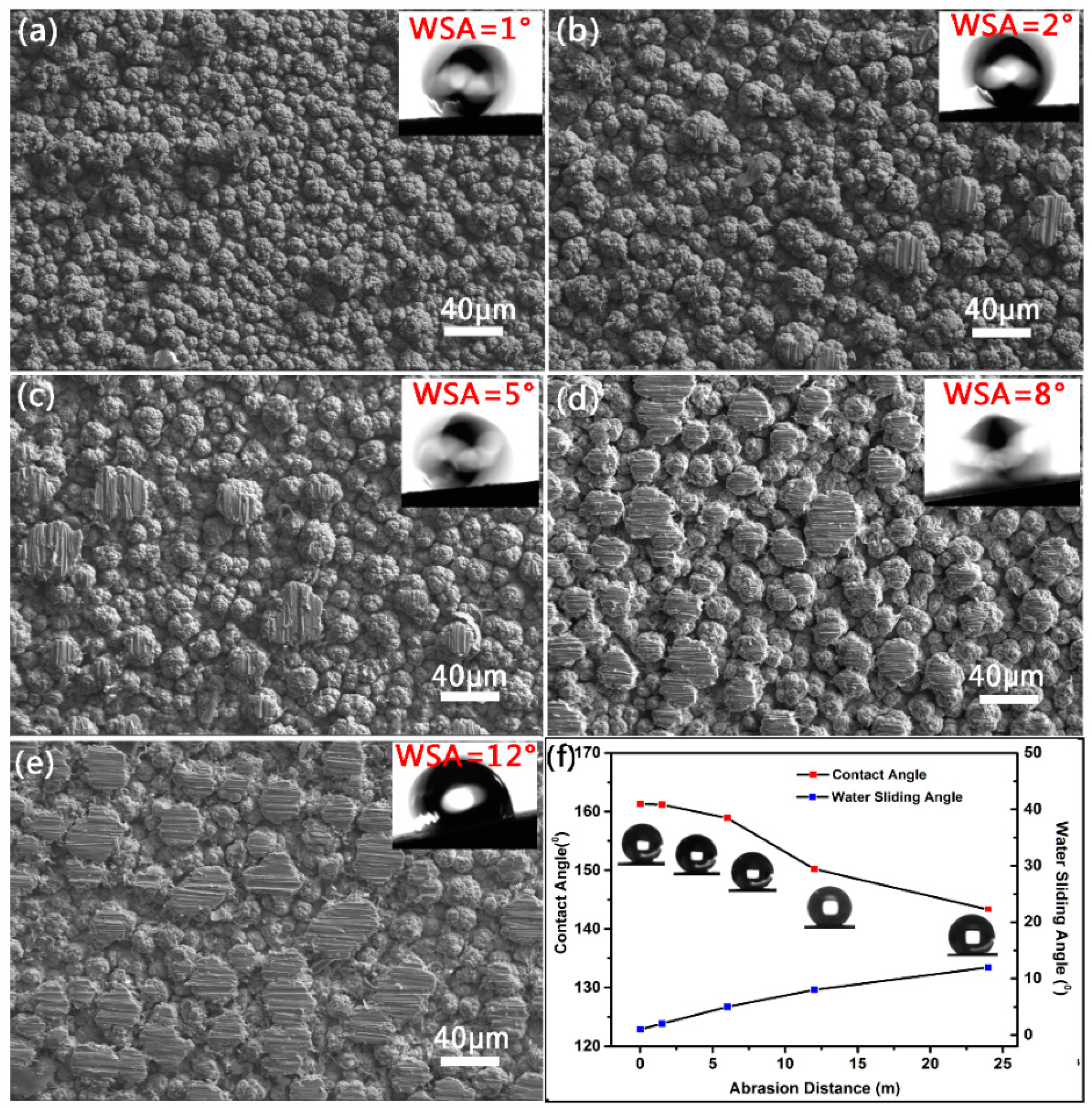 Coatings 09 00232 g006
