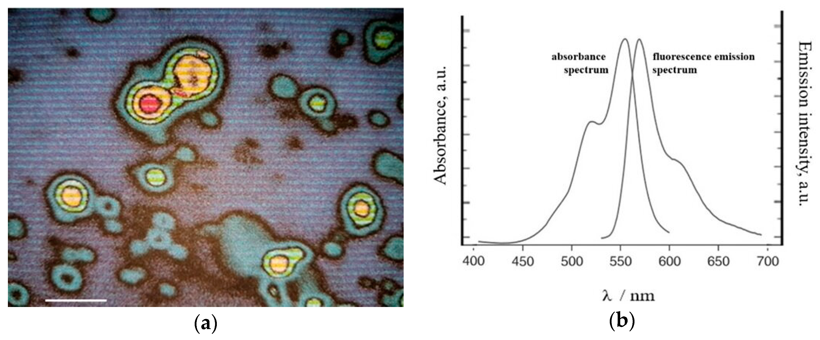 Coatings 09 00235 g004 Coatings 09 00235 g004