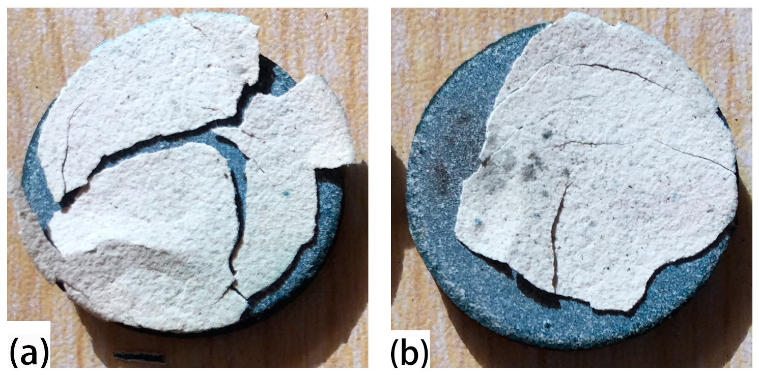 Coatings 09 00241 g005 550