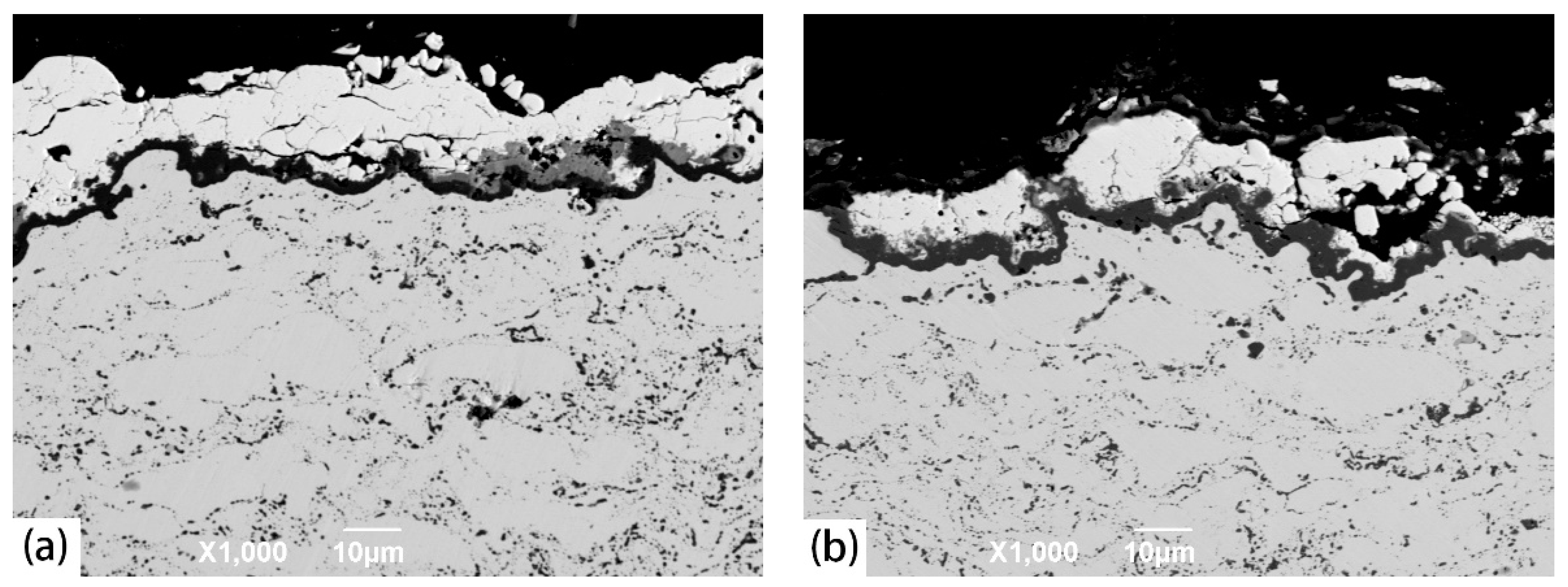 Coatings 09 00241 g006 550
