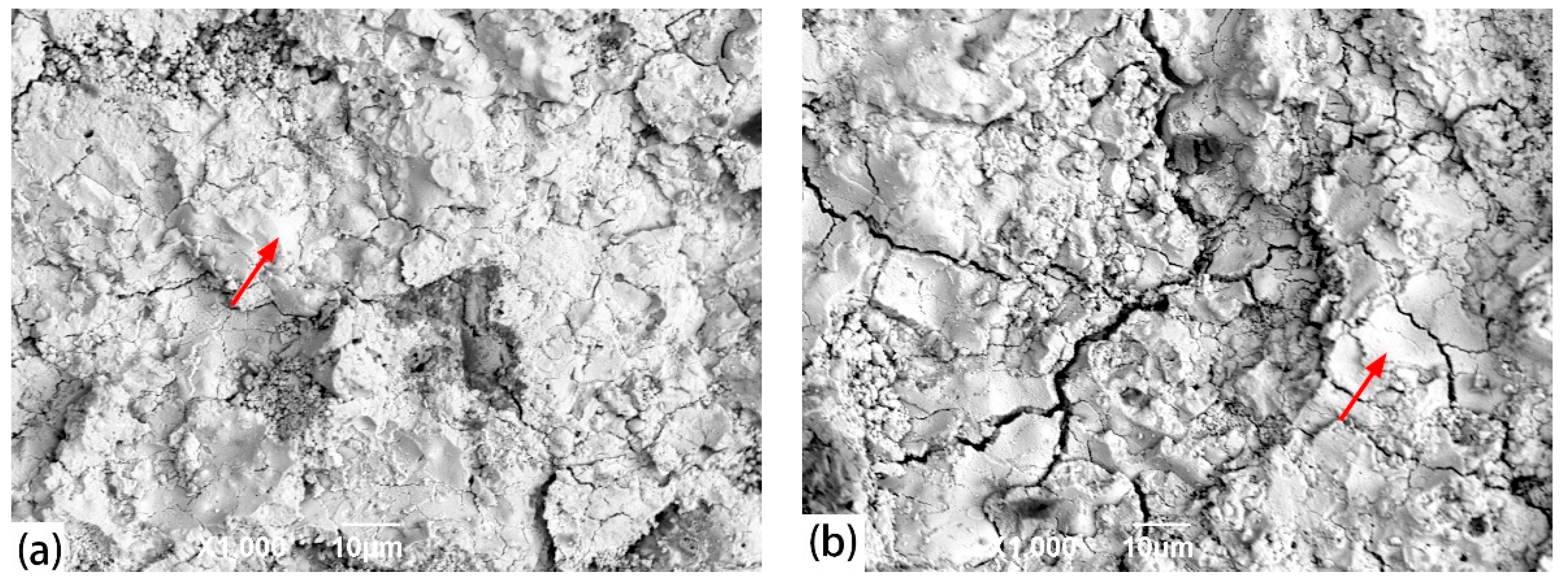 Coatings 09 00241 g007 550