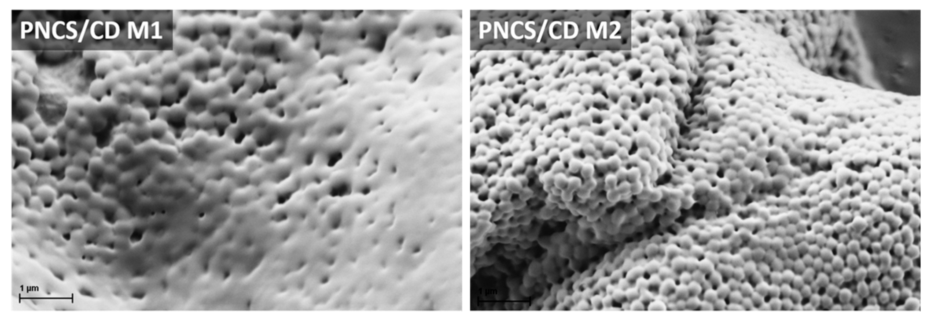 Coatings 09 00242 g002 Coatings 09 00242 g002