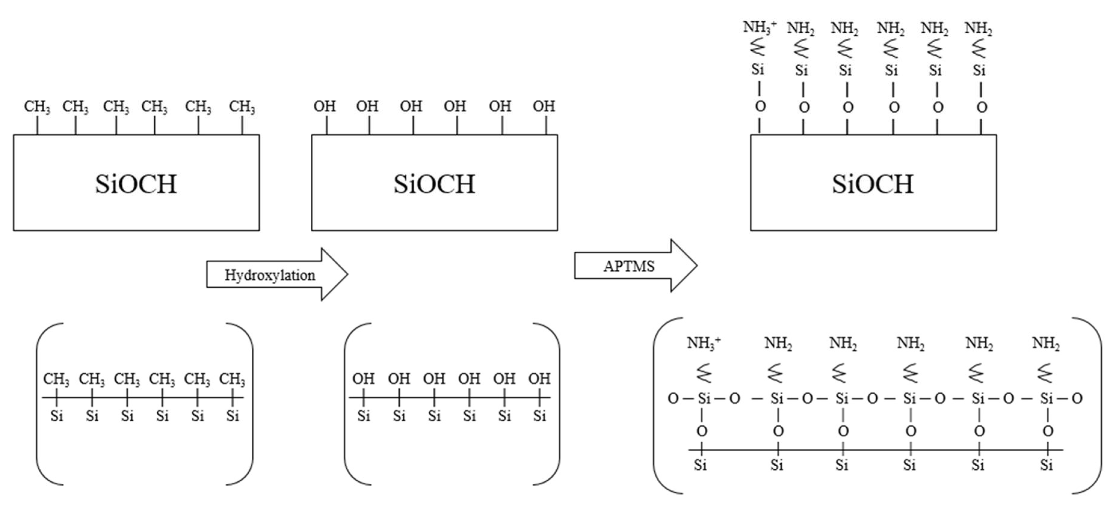 Coatings 09 00246 g009 550