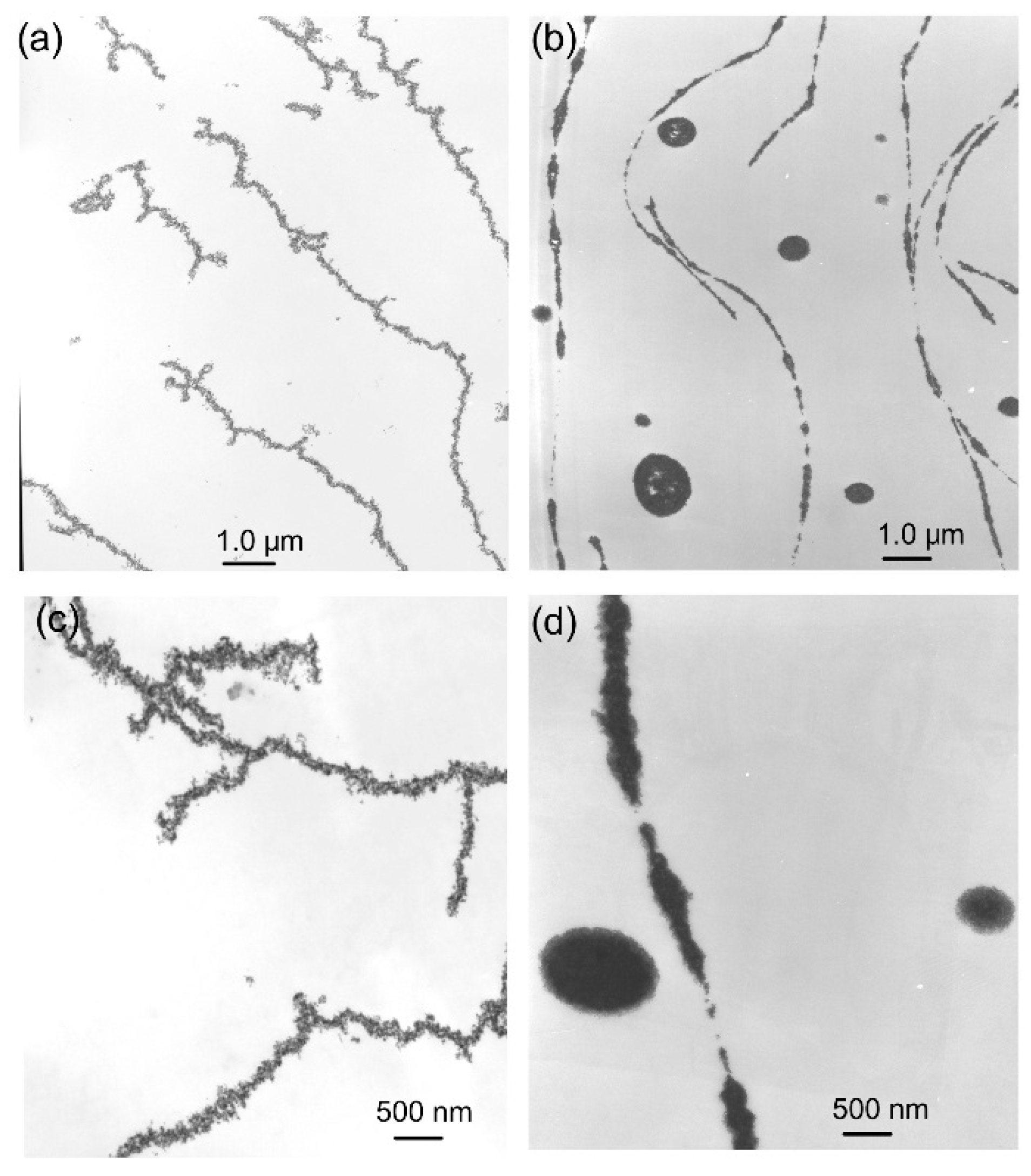 Coatings 09 00247 g004 Coatings 09 00247 g004