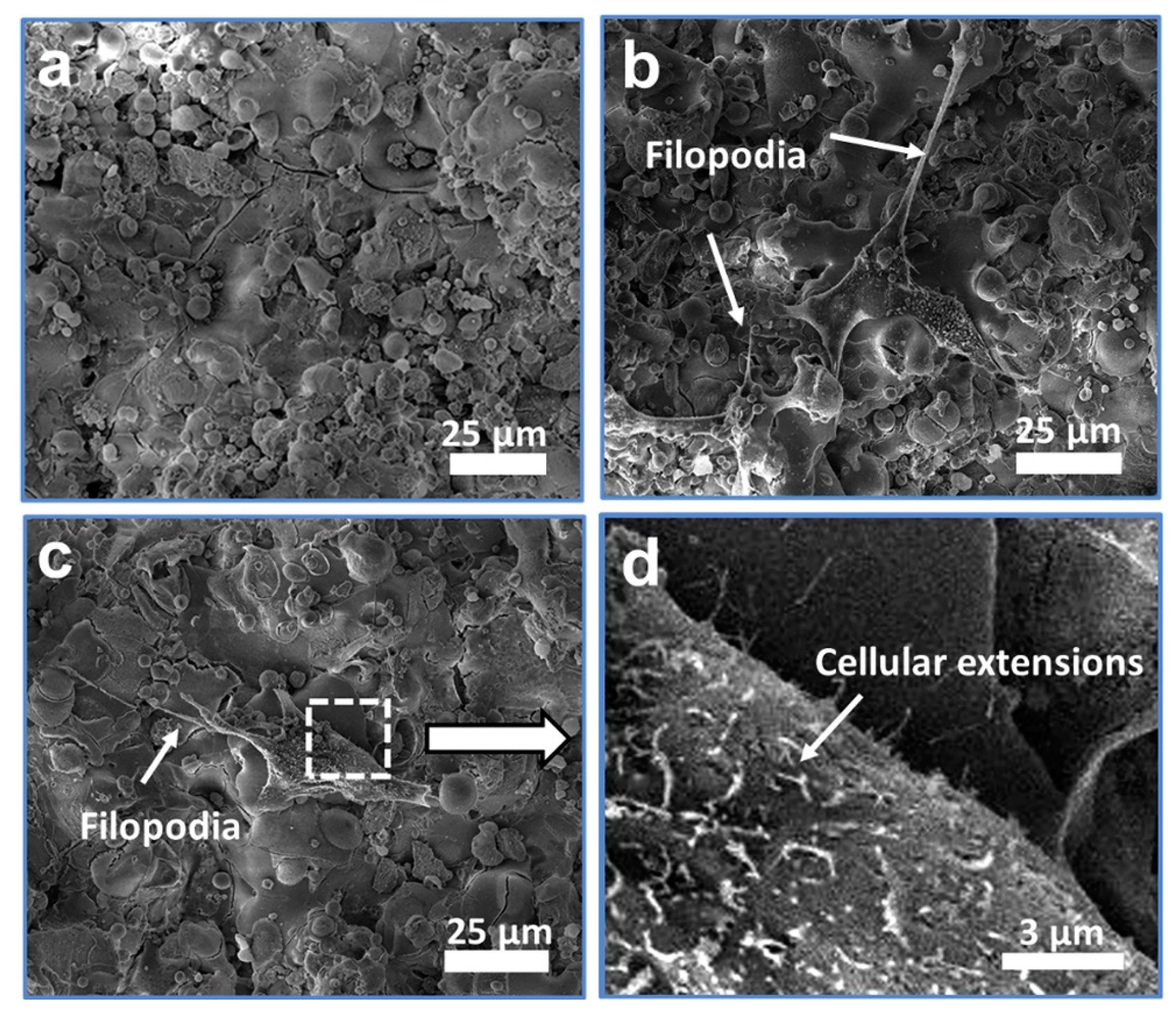 Coatings 09 00249 g007 Coatings 09 00249 g007