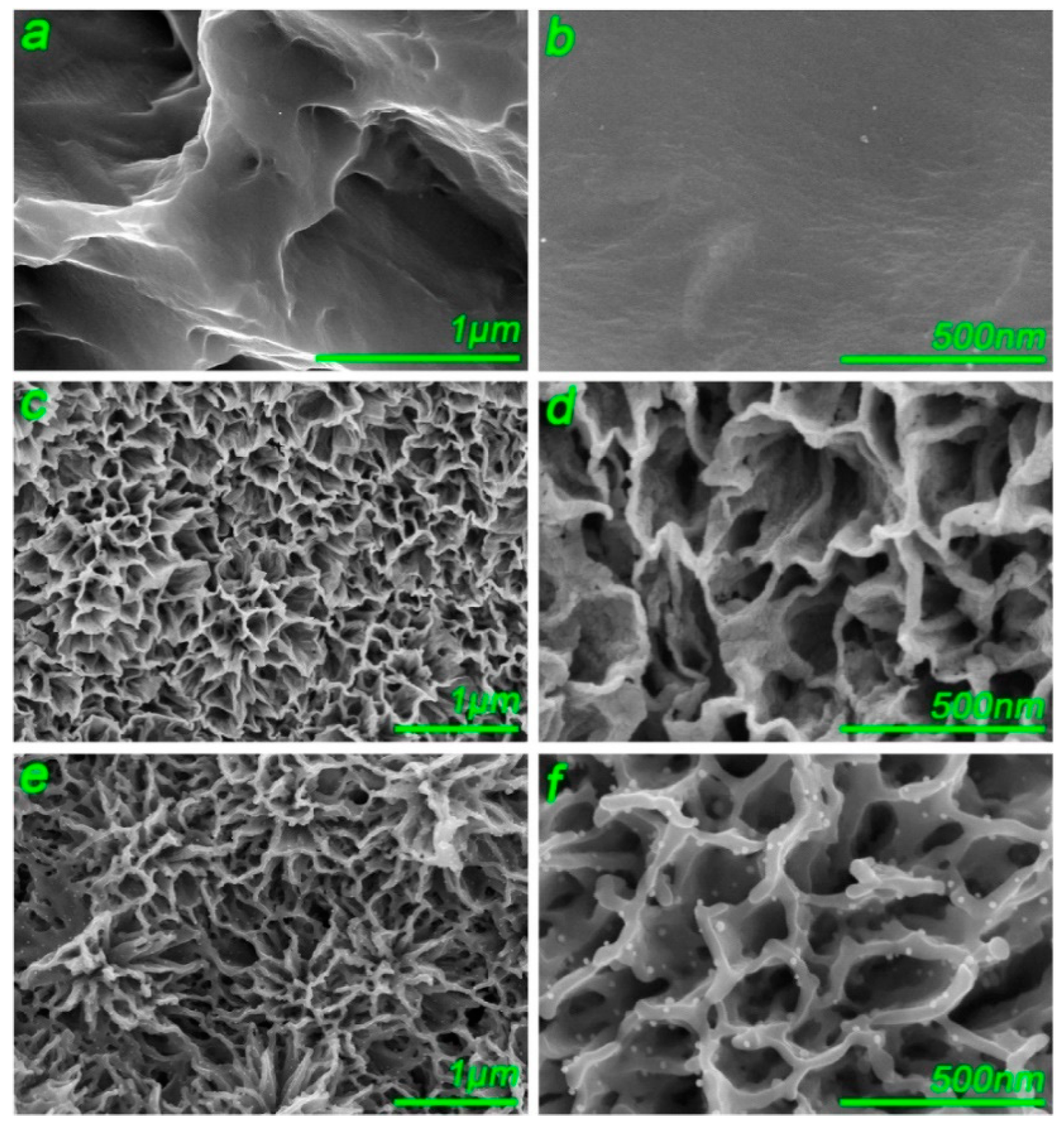 Coatings 09 00249 g008 Coatings 09 00249 g008