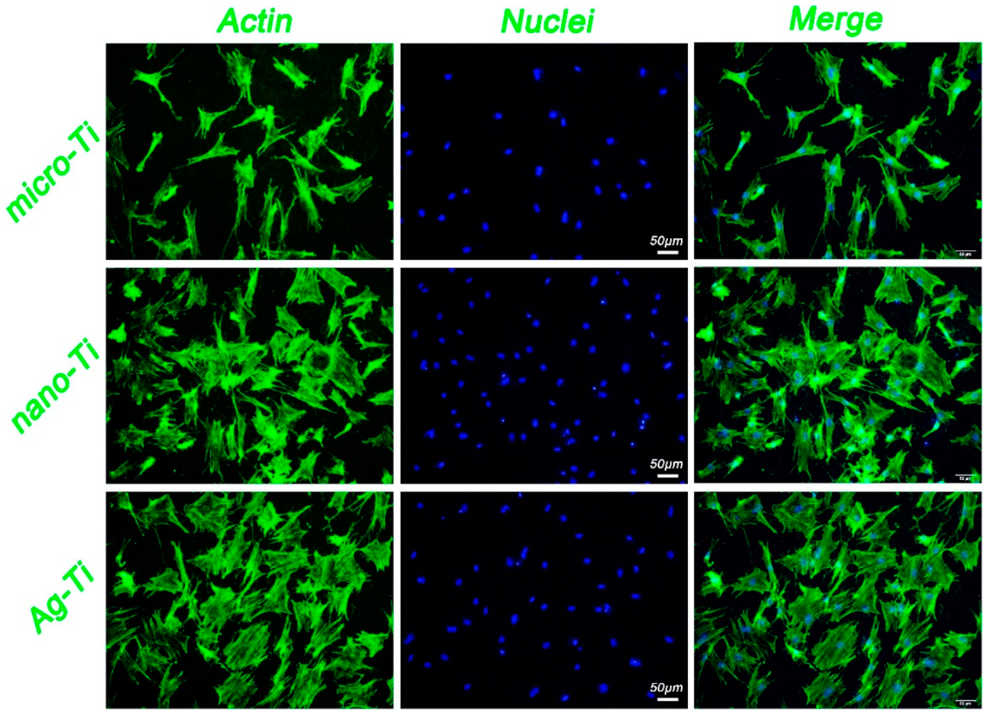 Coatings 09 00249 g009 Coatings 09 00249 g009