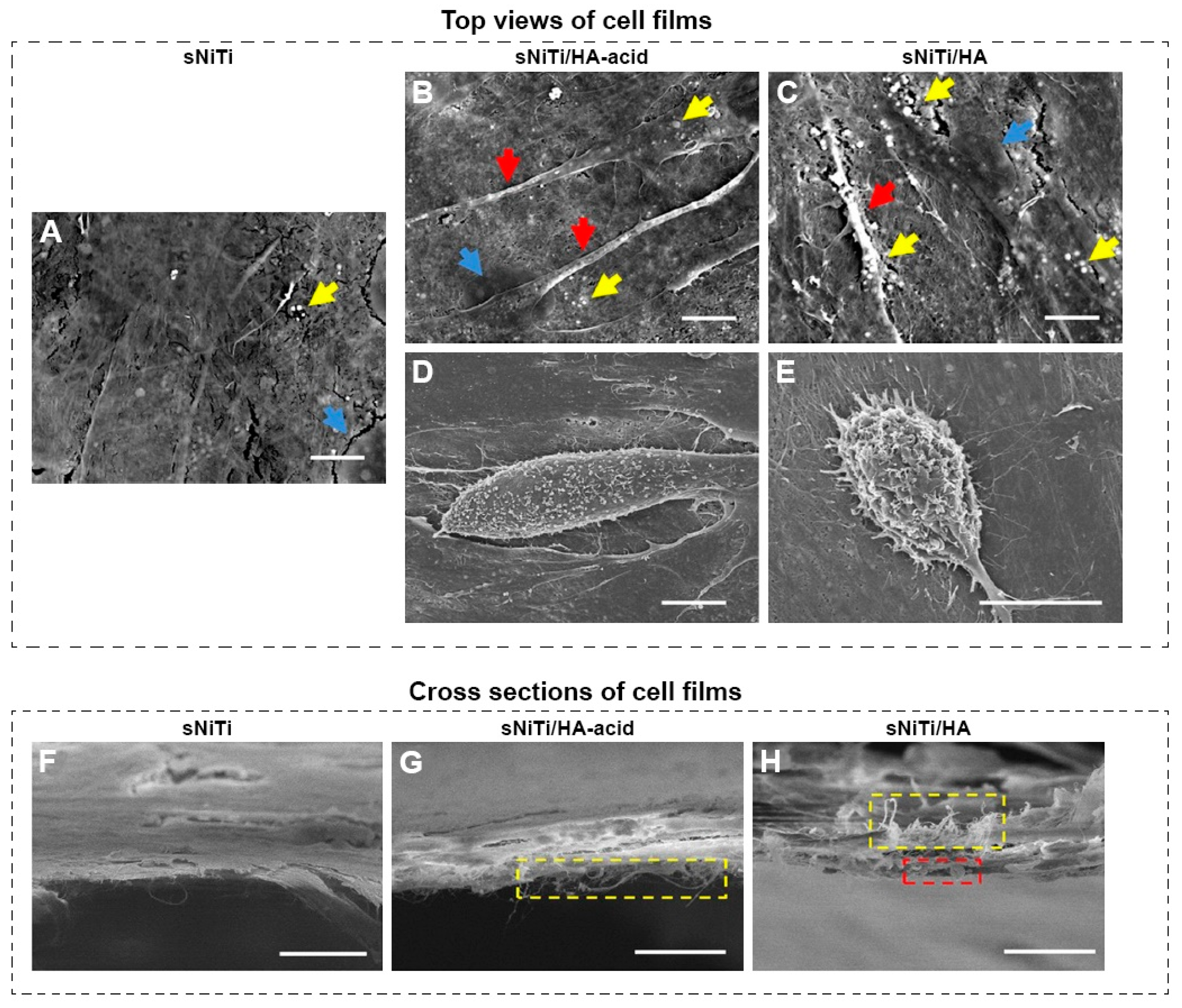 Coatings 09 00249 g014 Coatings 09 00249 g014