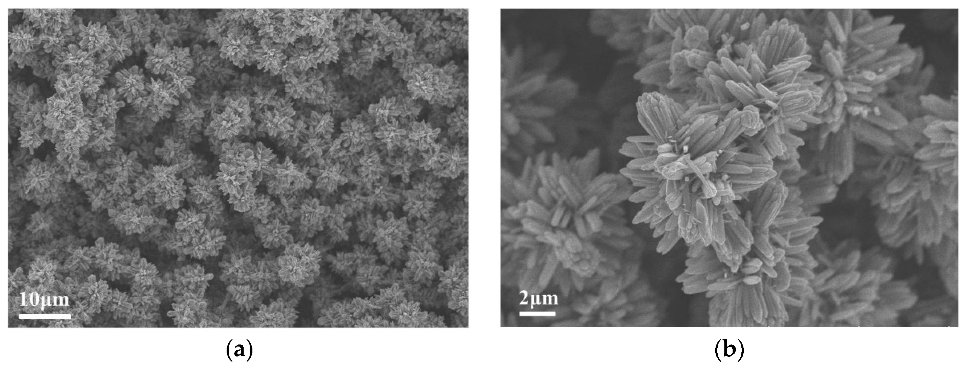 Coatings 09 00251 g004 Coatings 09 00251 g004