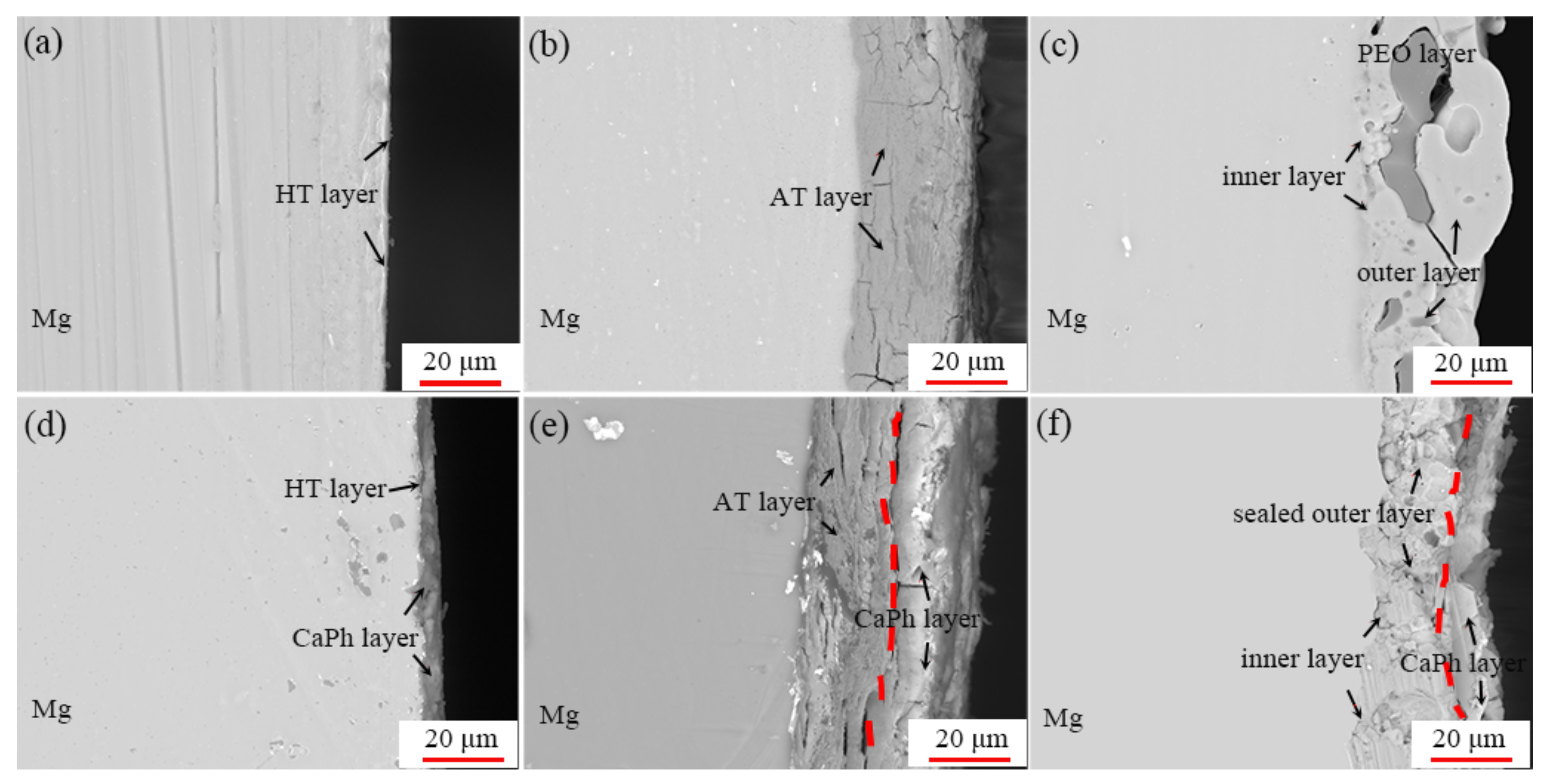 Coatings 09 00259 g003 Coatings 09 00259 g003