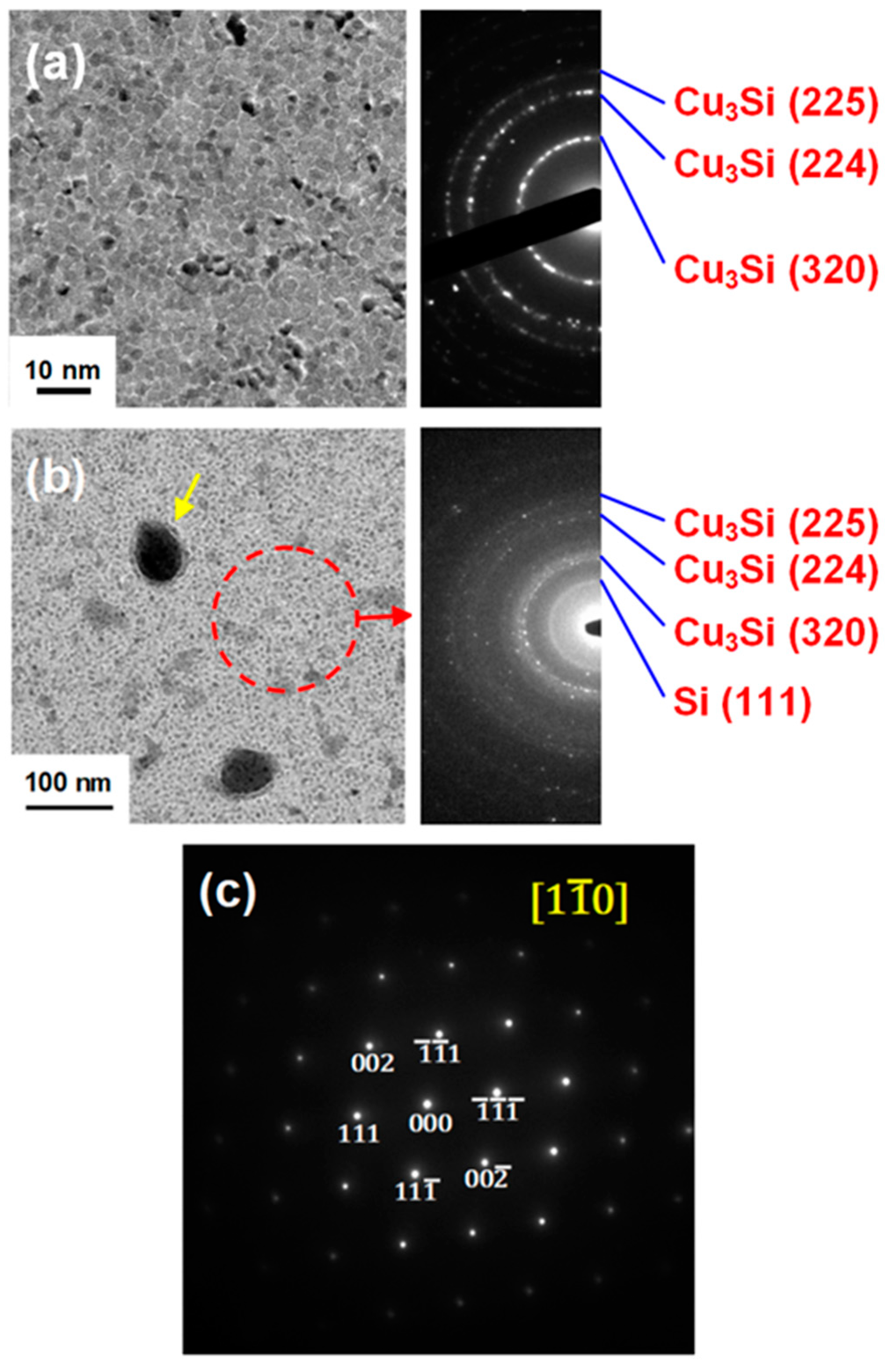 Coatings 09 00260 g003