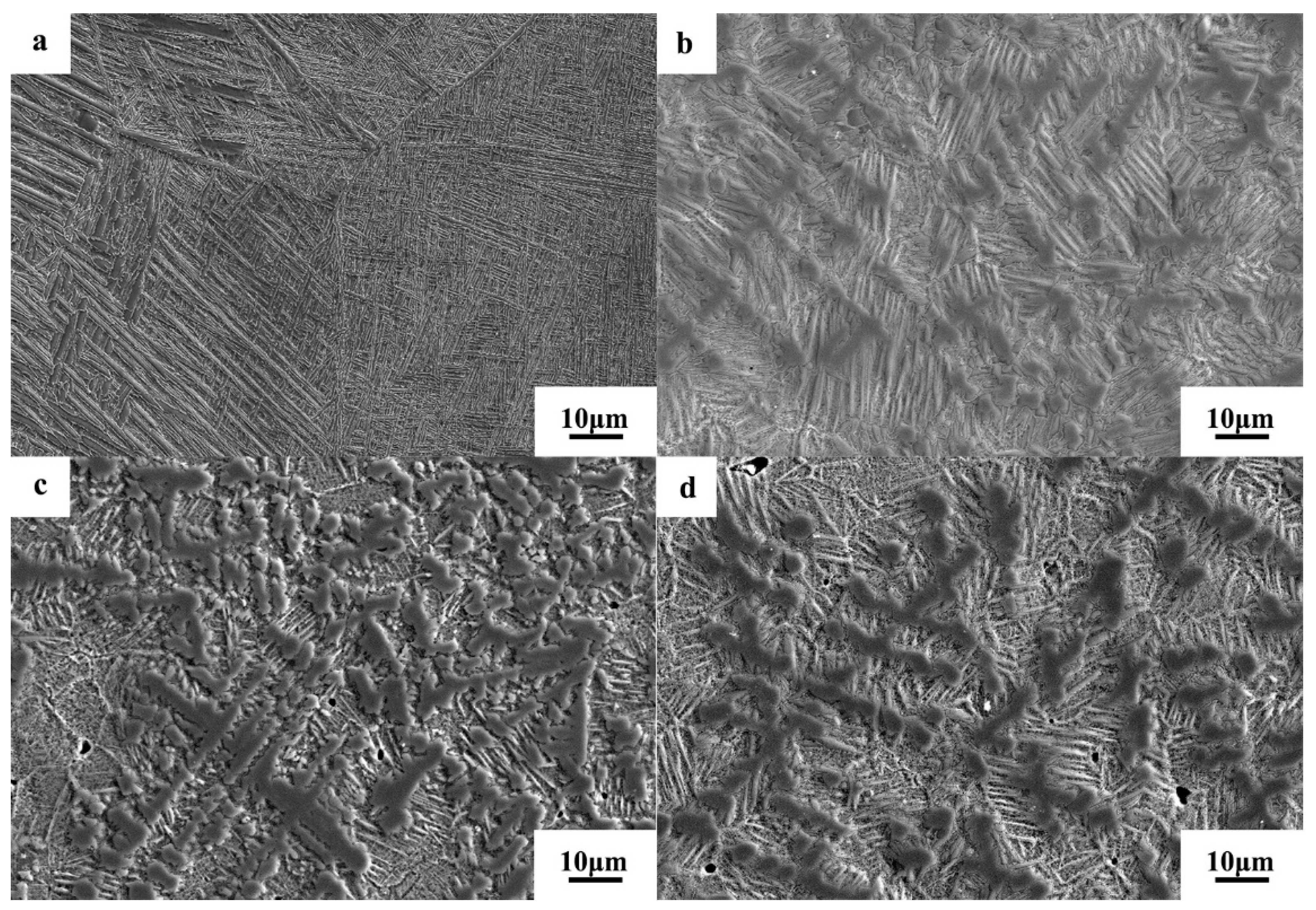 Coatings 09 00261 g002