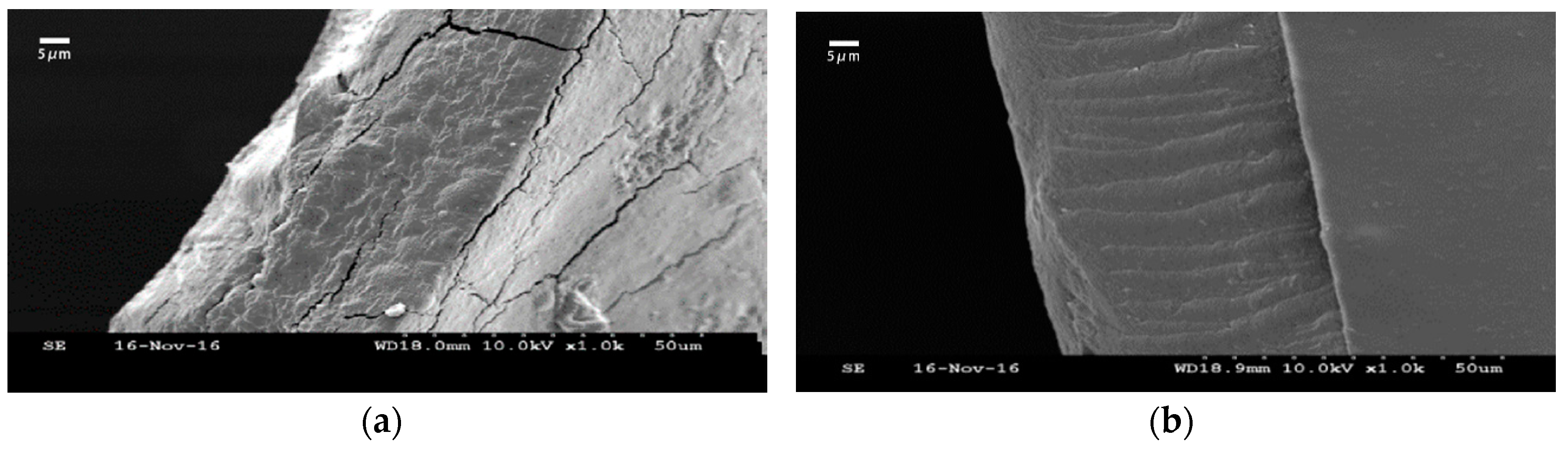 Coatings 09 00262 g002a