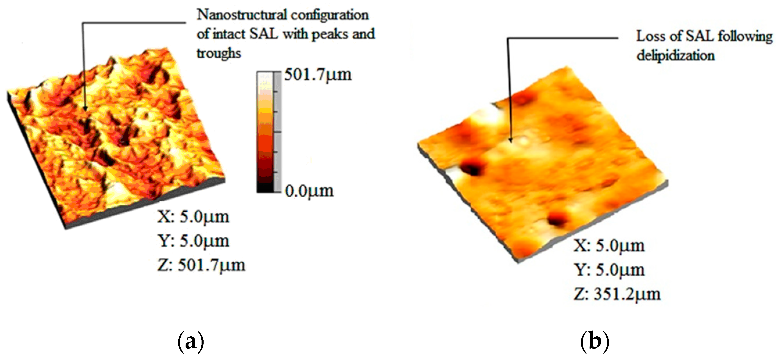 Coatings 09 00264 g003