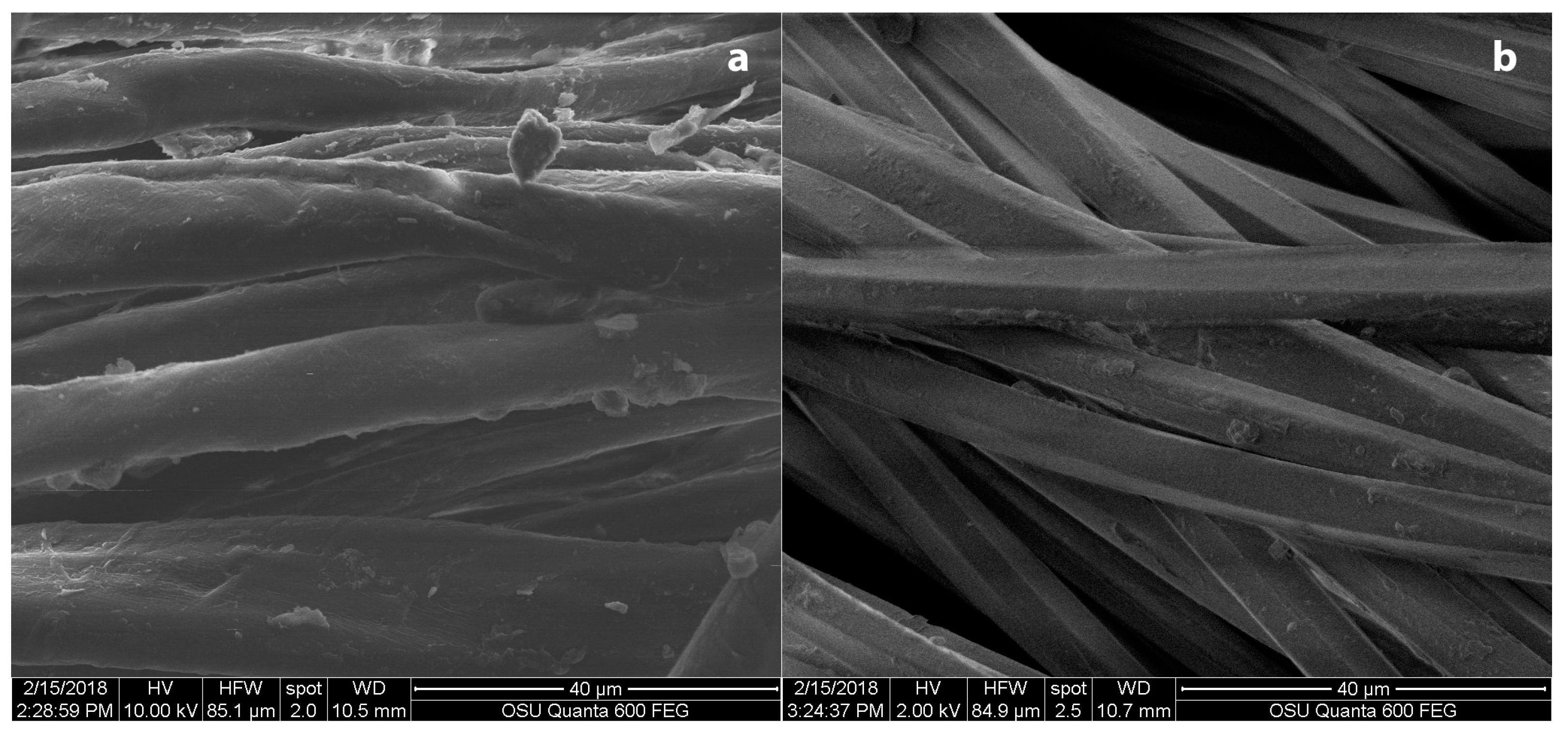 Coatings 09 00266 g002