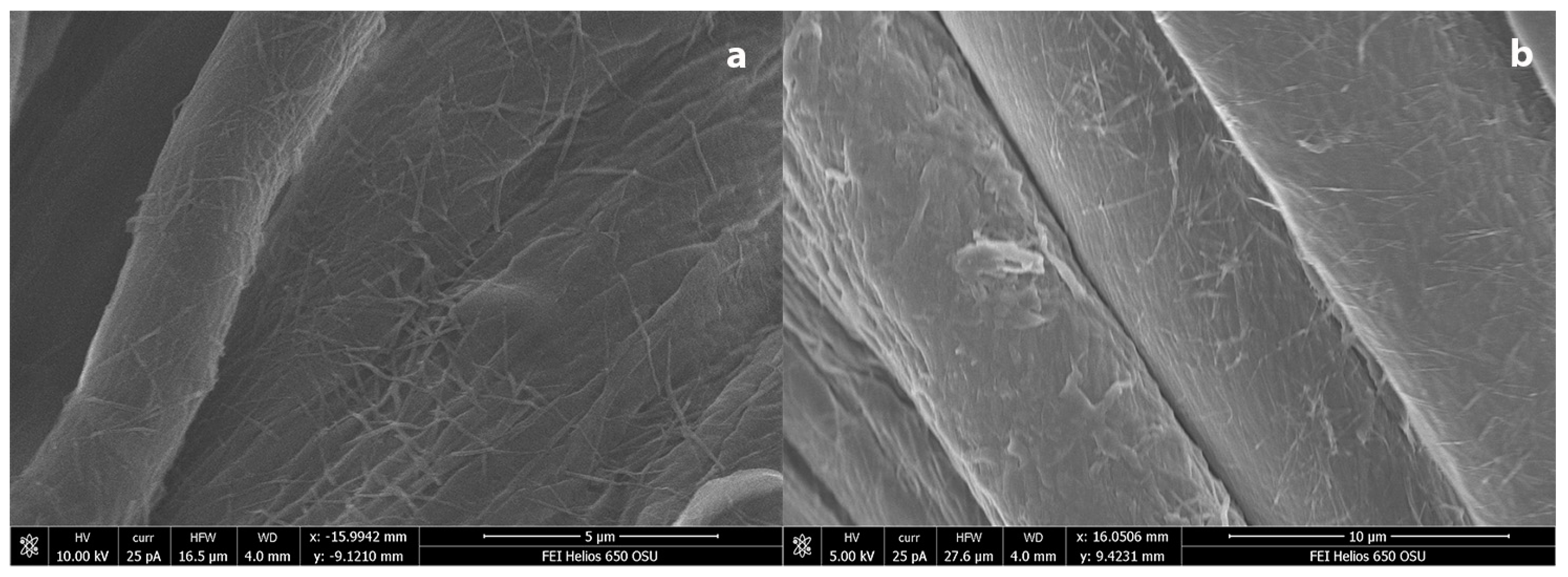 Coatings 09 00266 g004