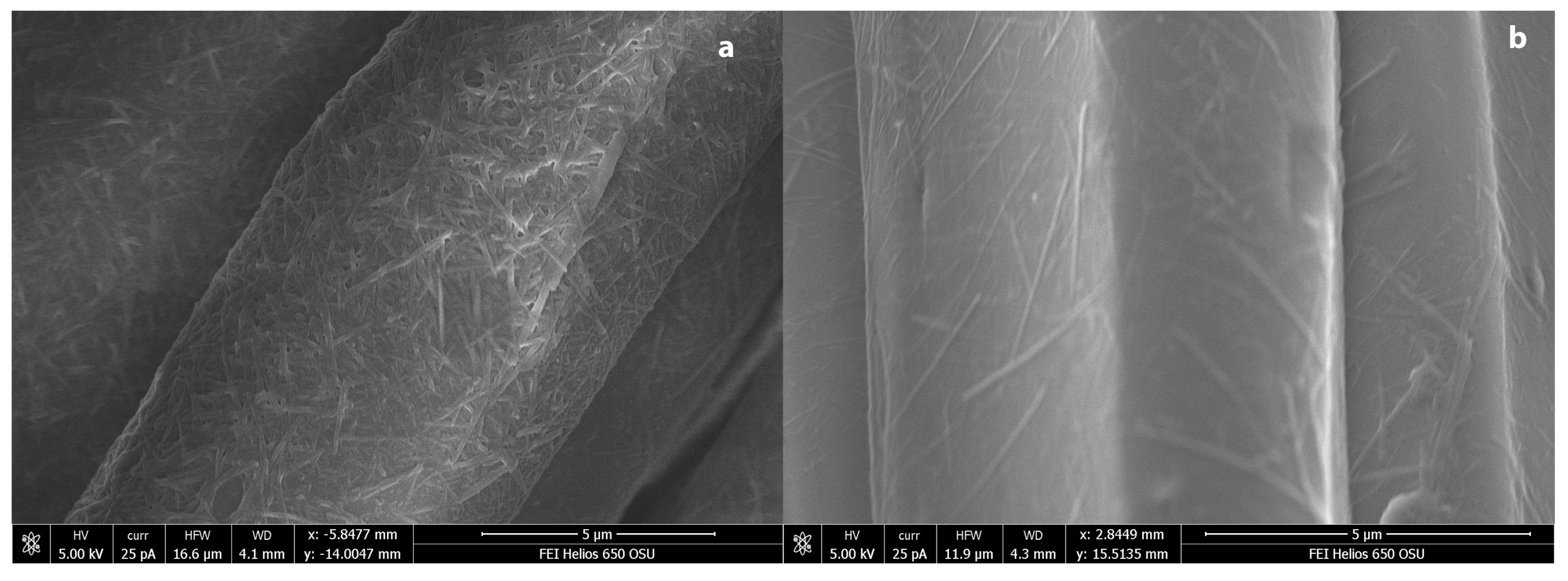 Coatings 09 00266 g005