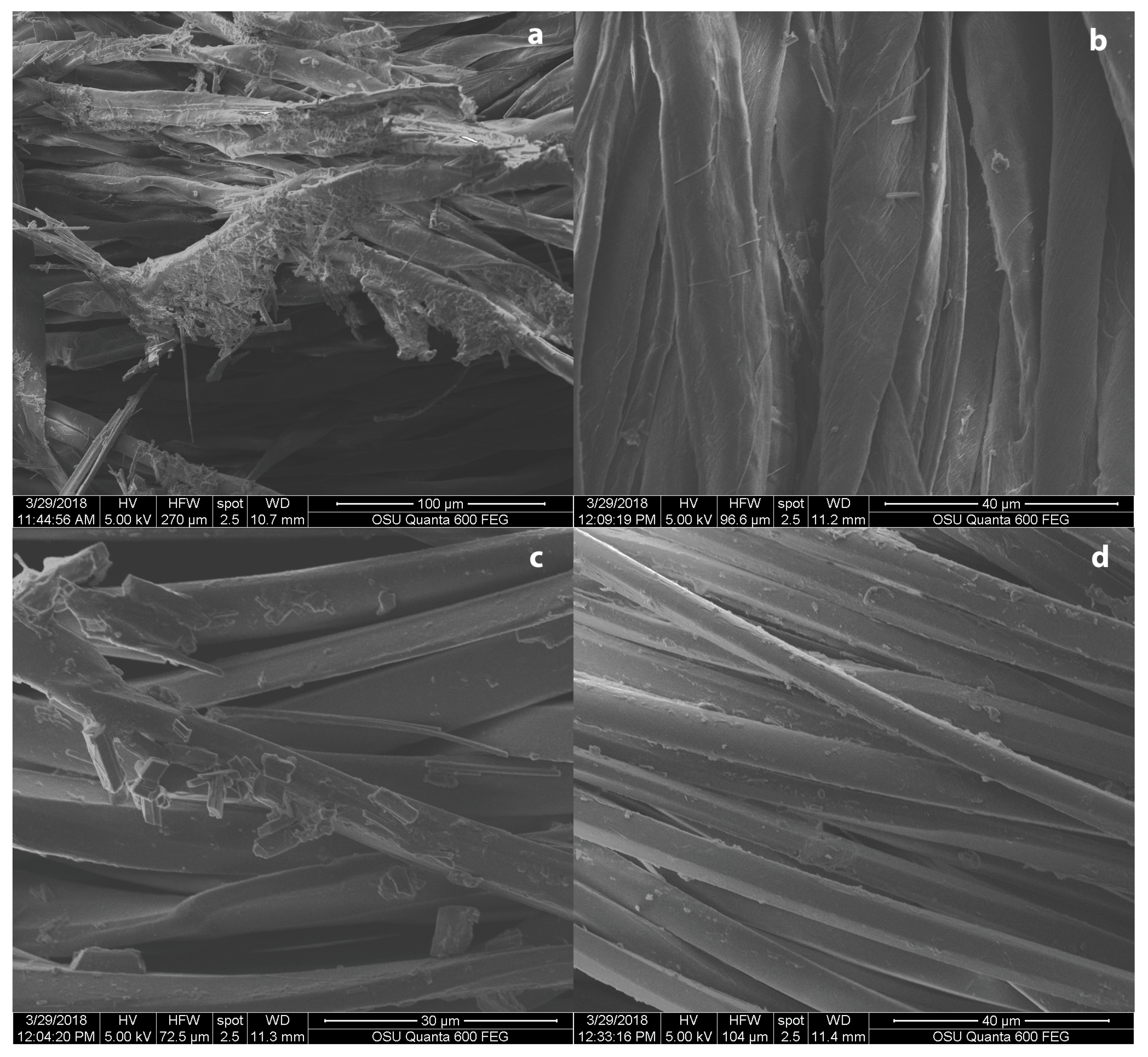 Coatings 09 00266 g006
