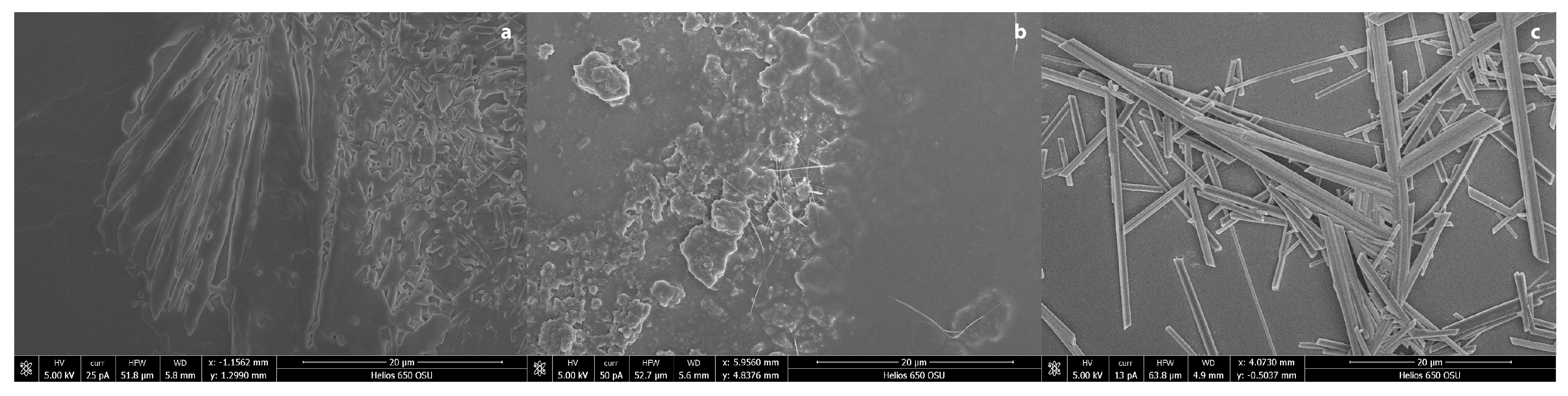 Coatings 09 00266 g007