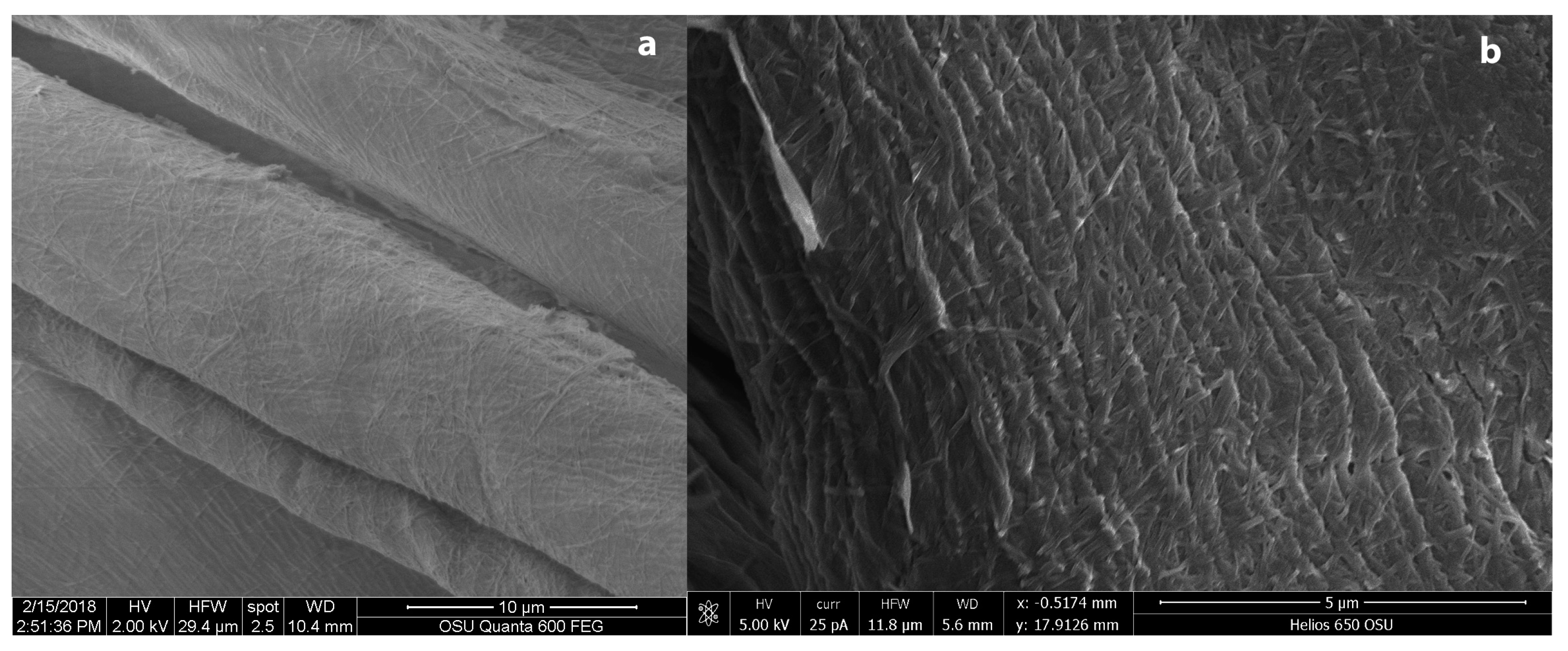 Coatings 09 00266 g009