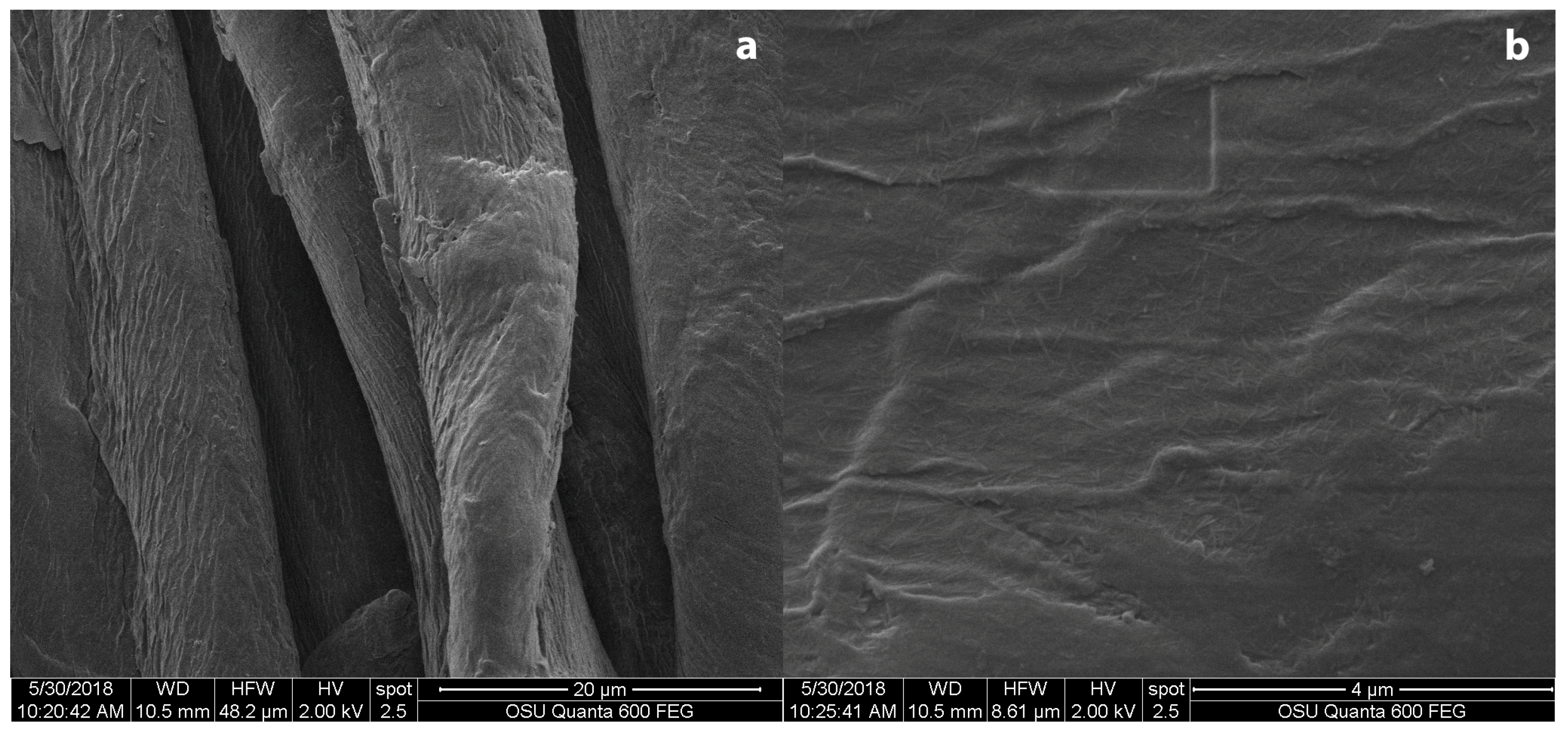 Coatings 09 00266 g010