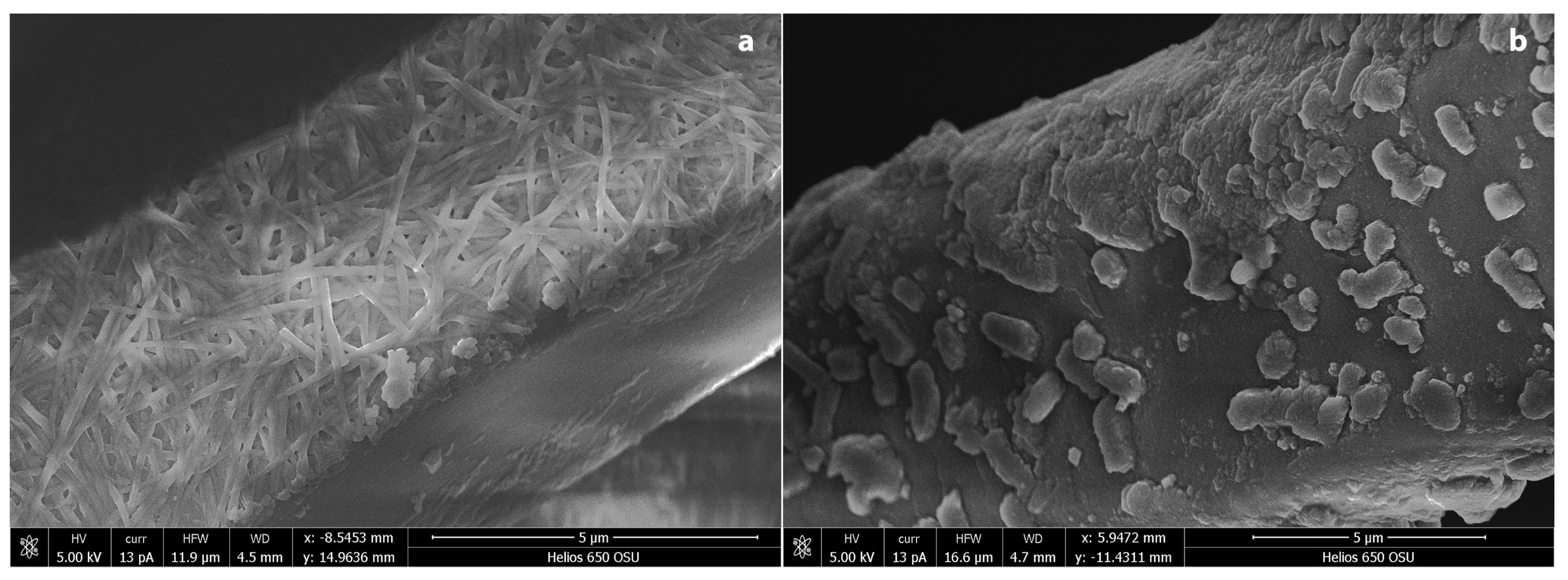 Coatings 09 00266 g011