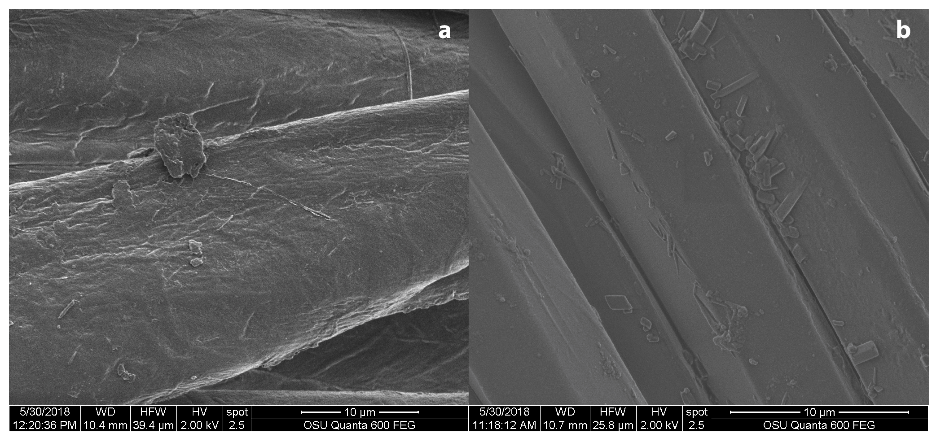 Coatings 09 00266 g012