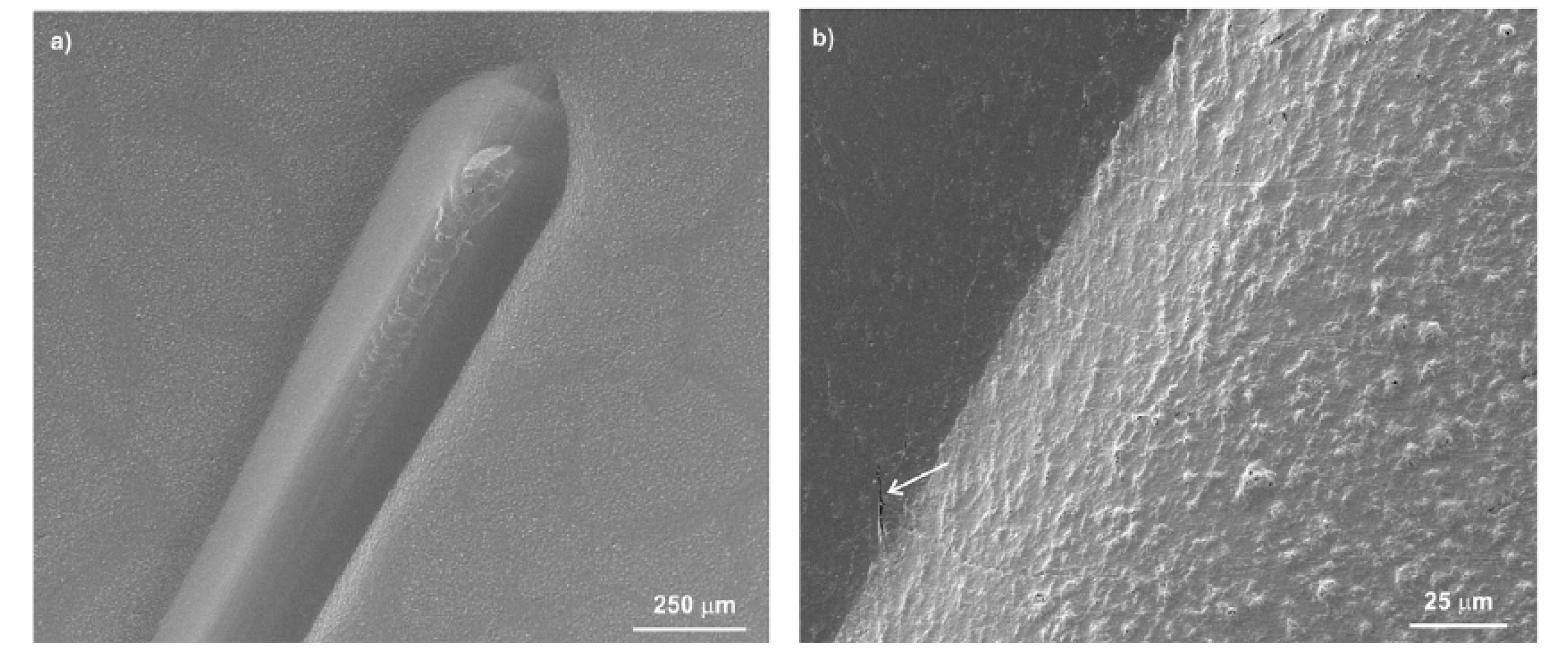 Coatings 09 00268 g004