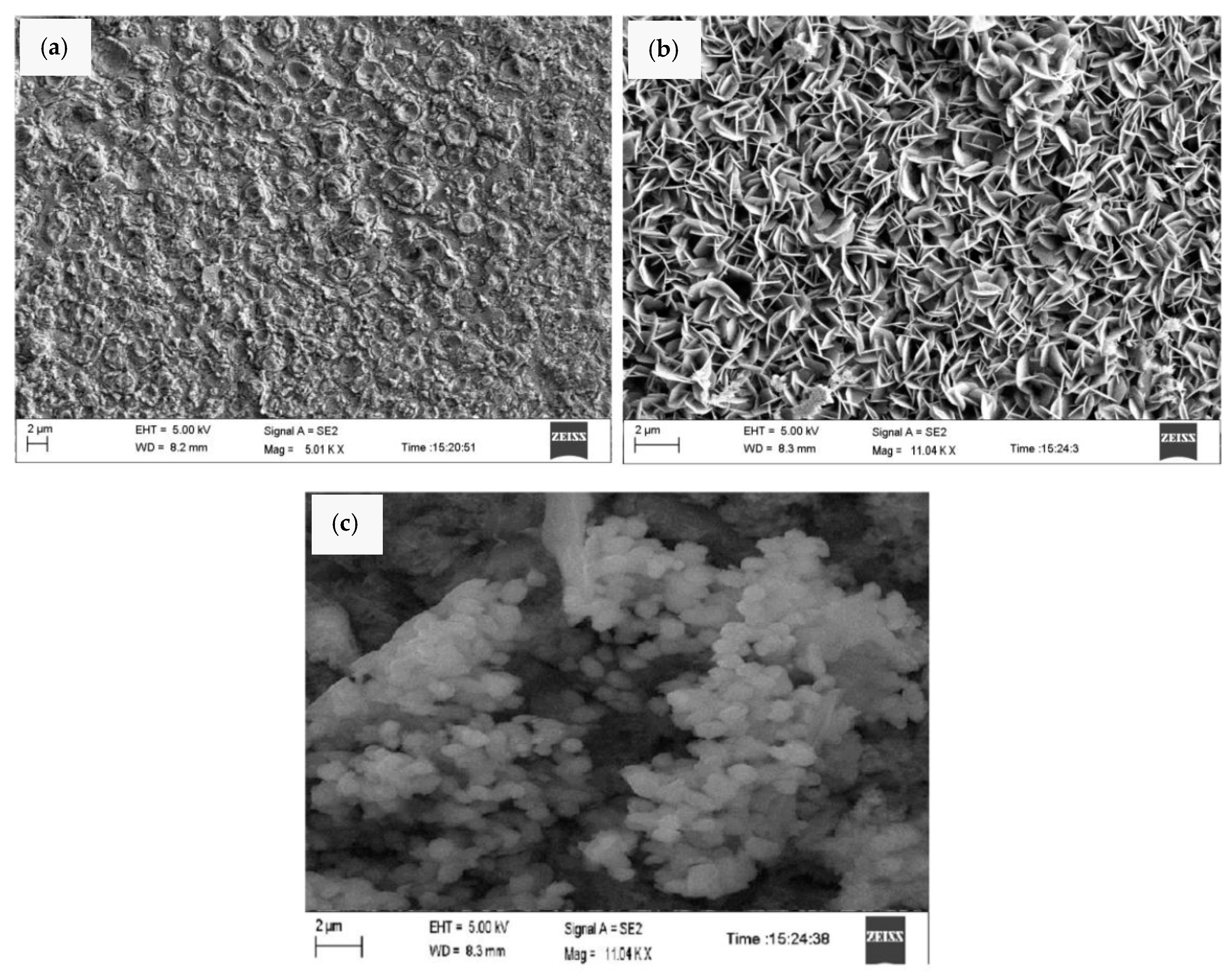 Coatings 09 00268 g007