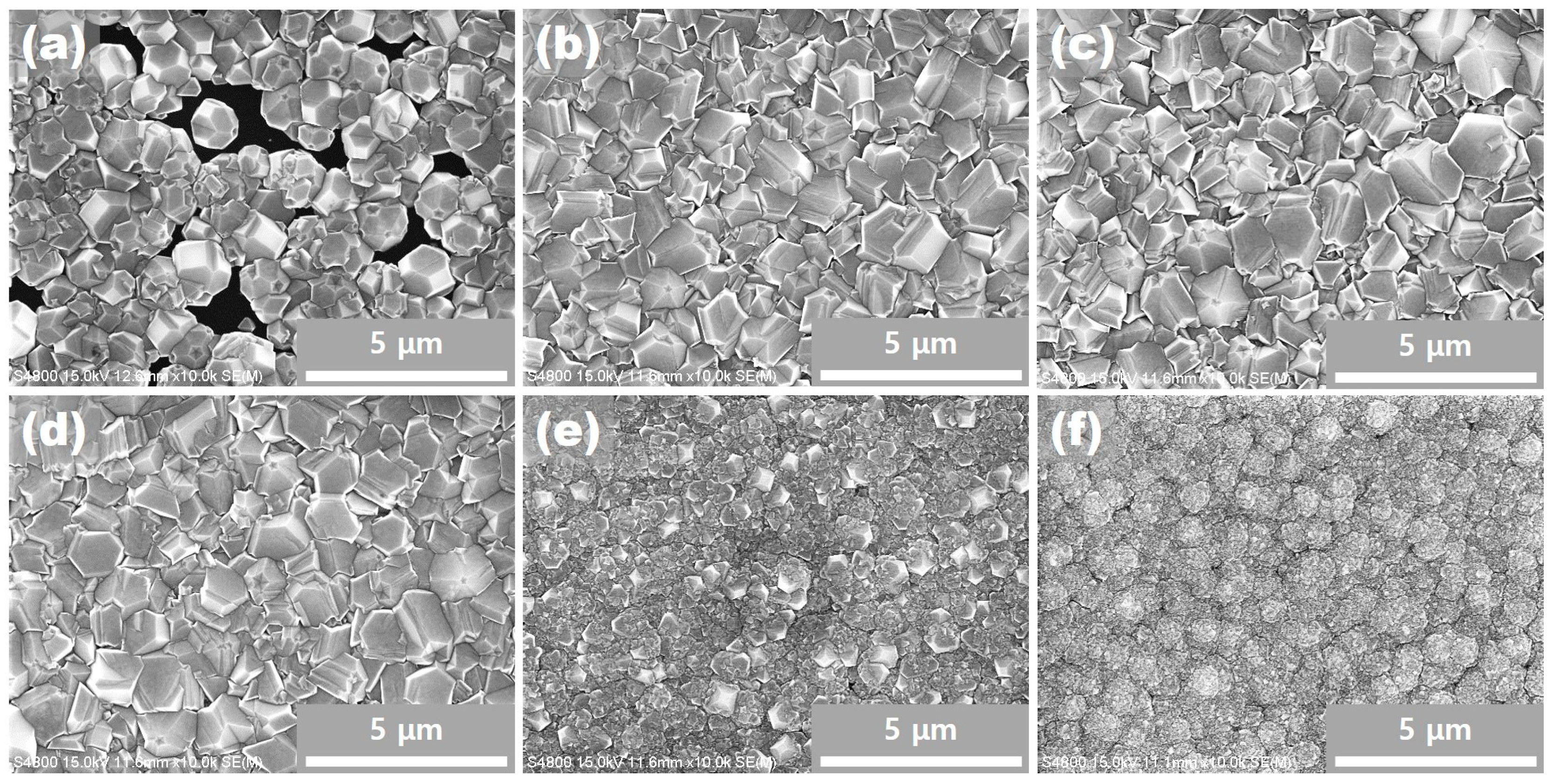 Coatings 09 00269 g002