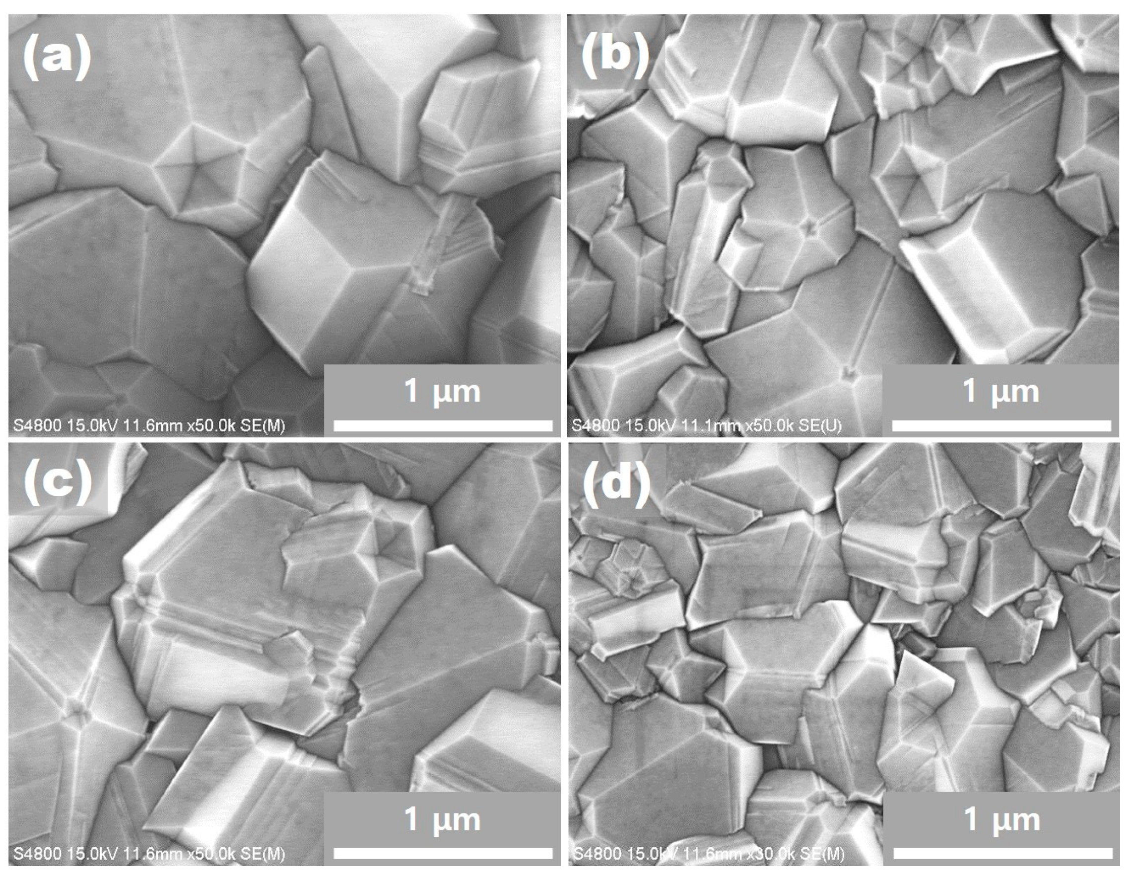 Coatings 09 00269 g003