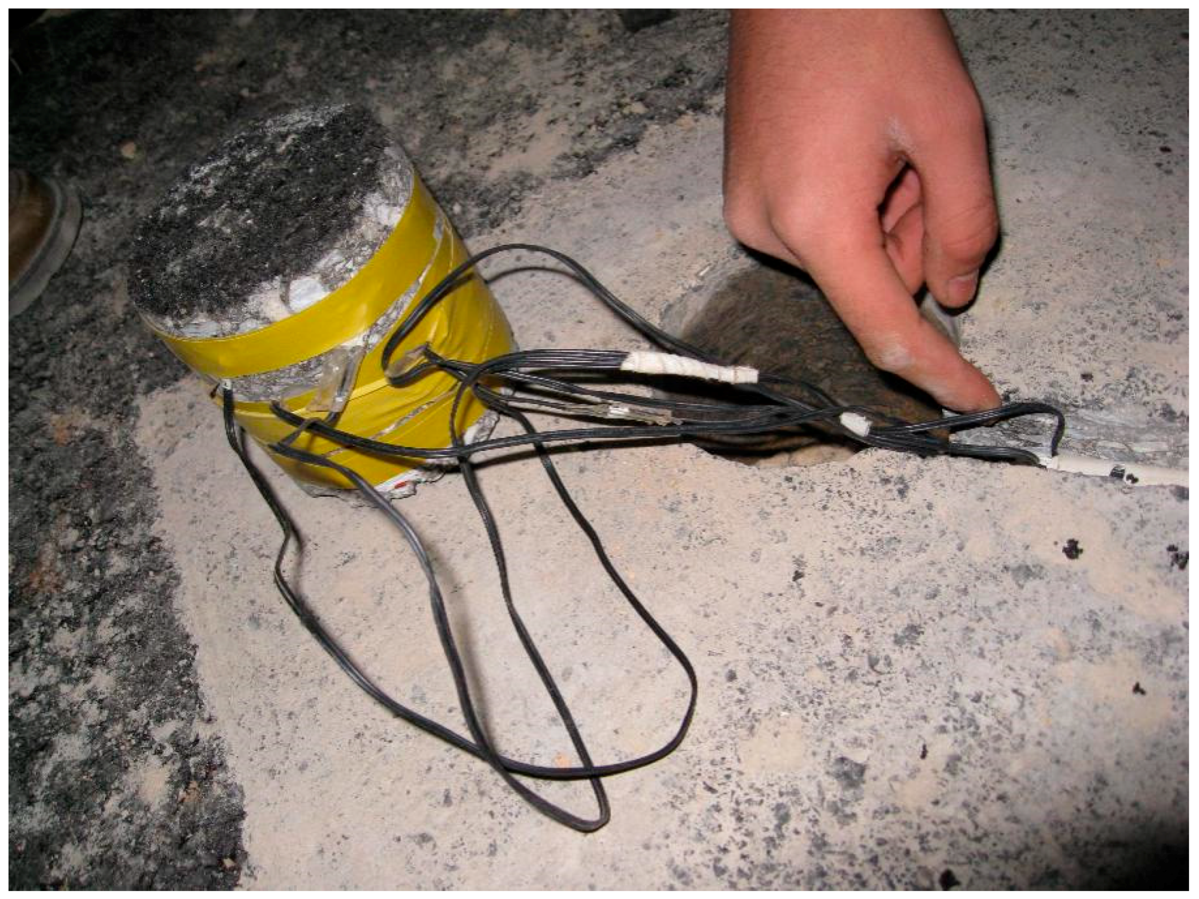 Coatings 09 00271 g004 550