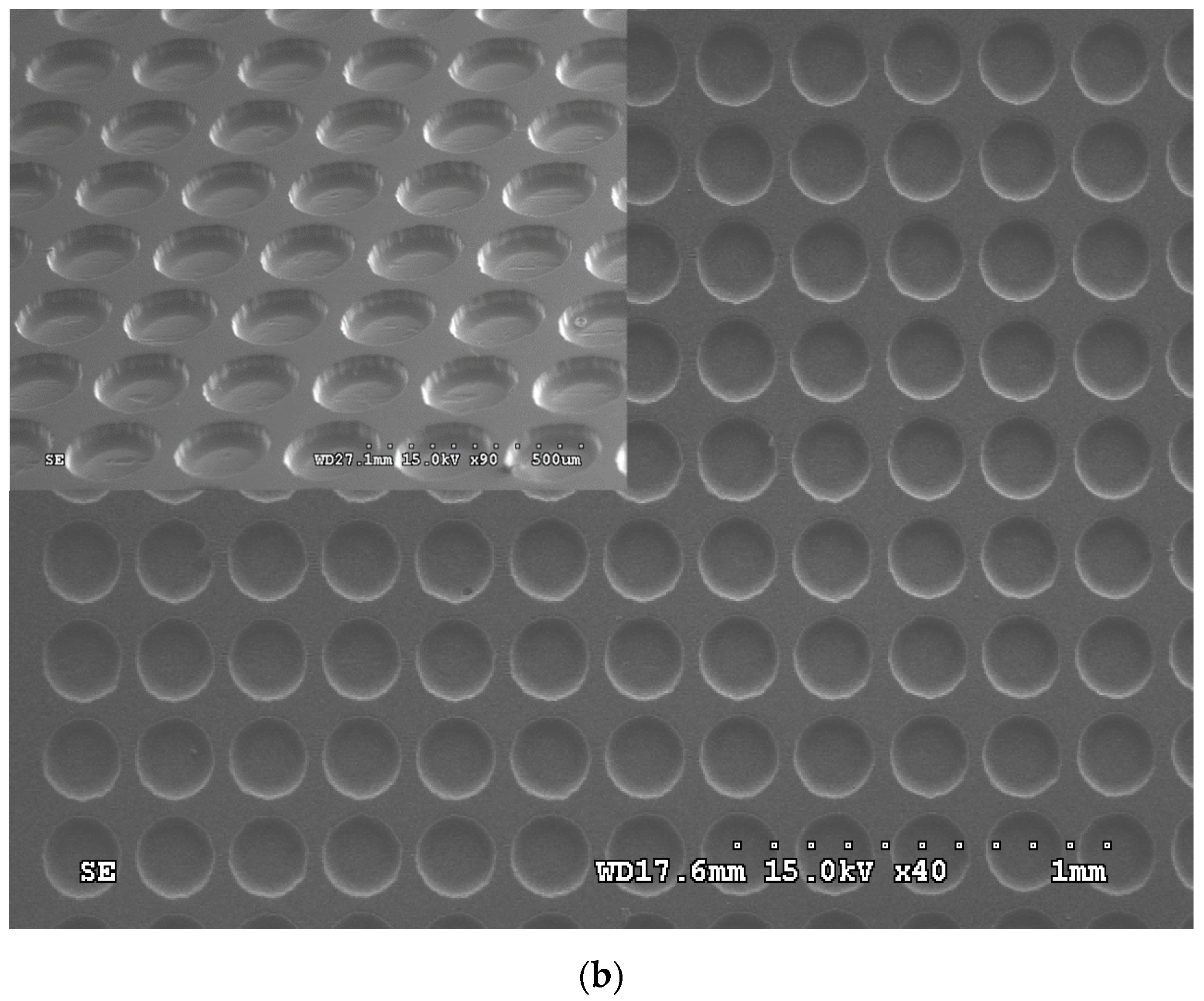Coatings 09 00274 g012b
