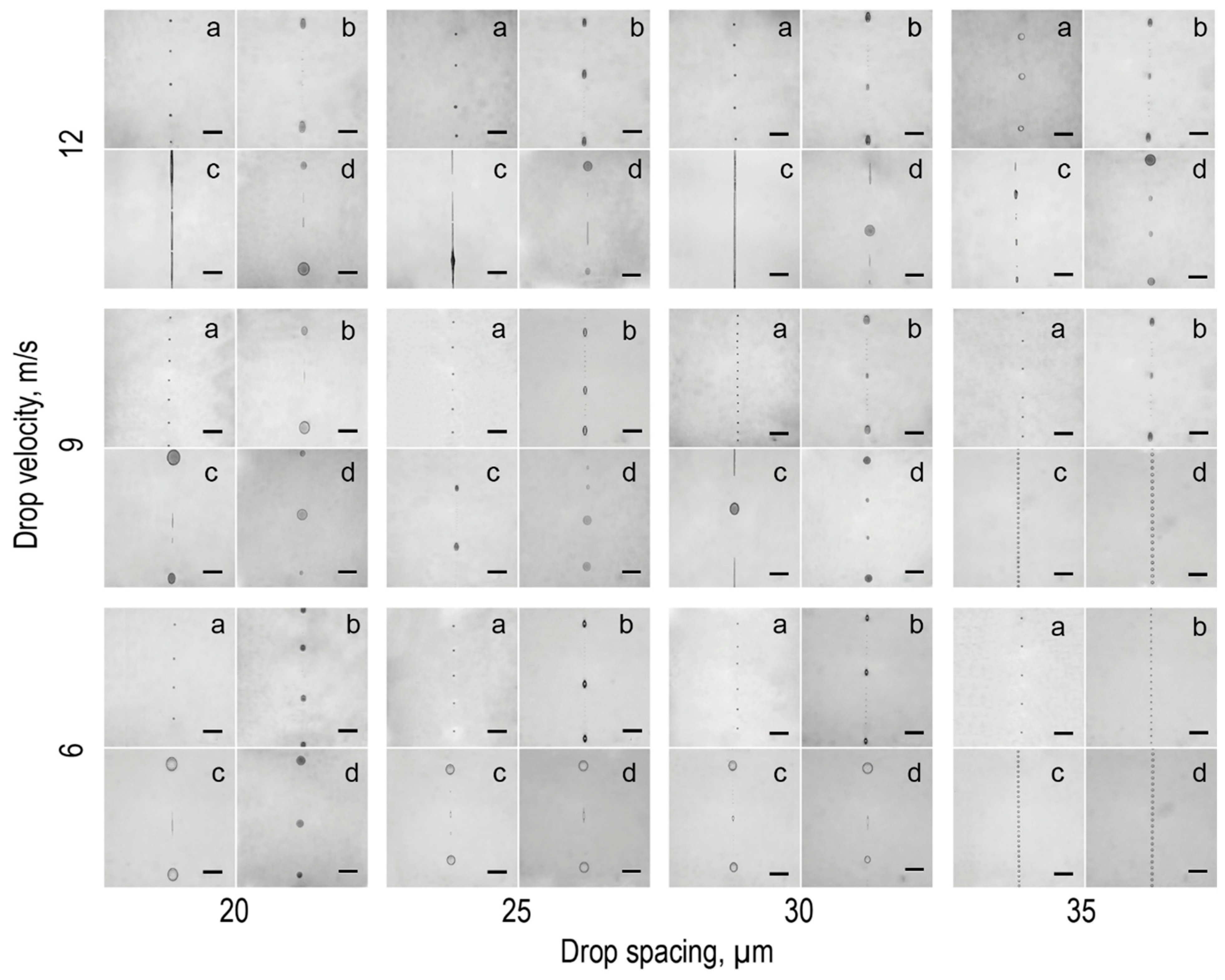 Coatings 09 00275 g002