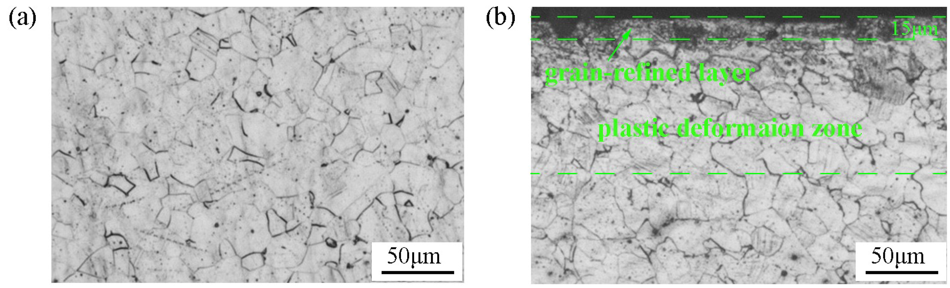 Coatings 09 00276 g003